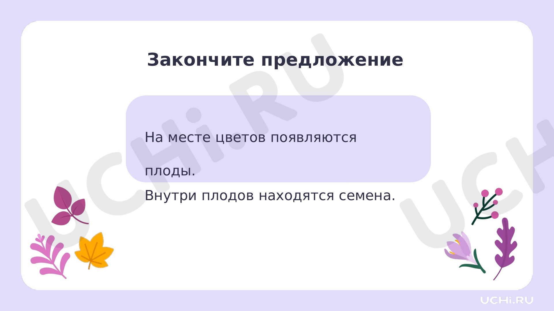 Окружающий мир для 1 четверти 1 класса. ЭОР | Подготовка к уроку от Учи.ру