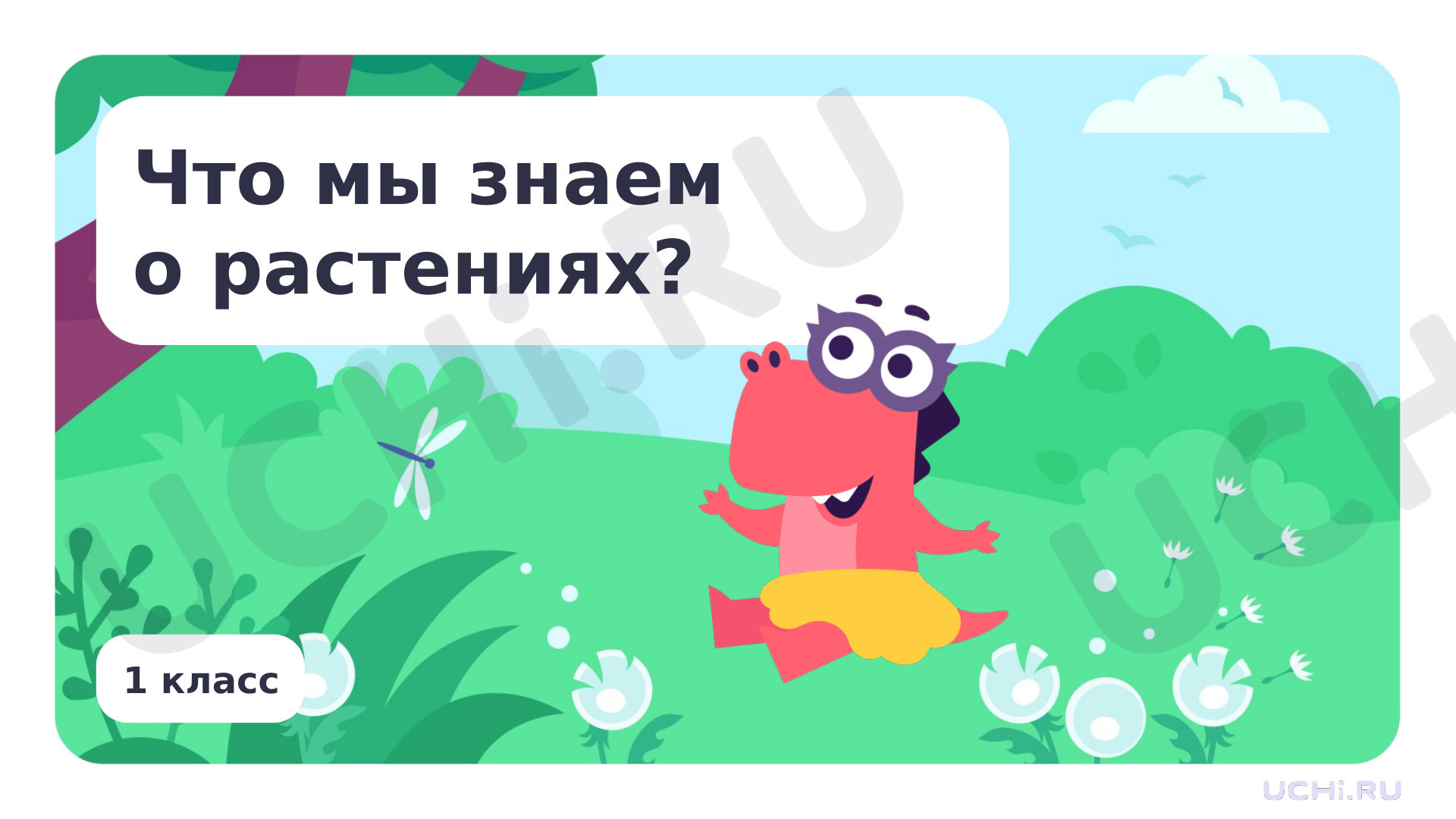 Предпросмотр материала Что мы знаем о растениях? Что общего у разных растений?