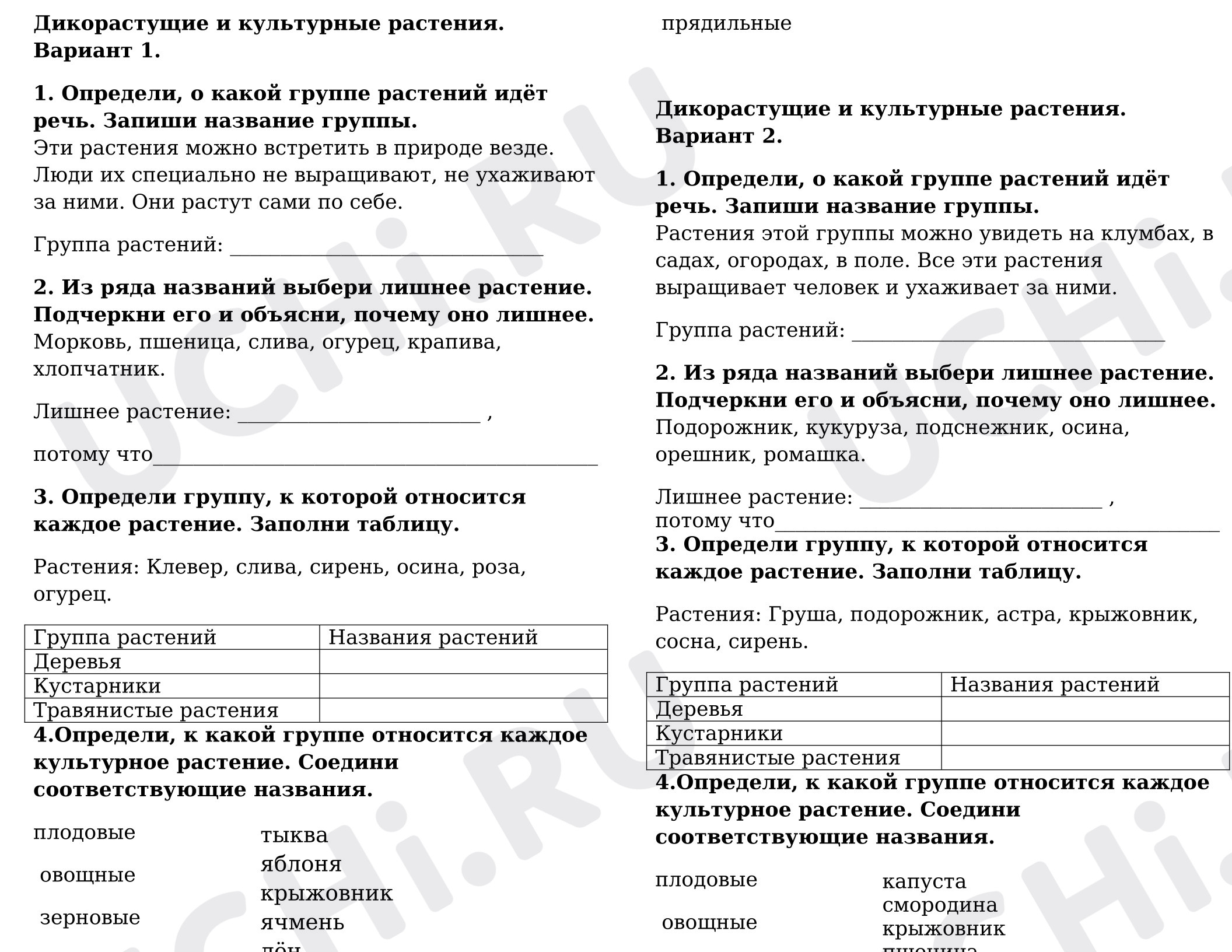 Предпросмотр материала Проверочная работа к уроку окружающего мира «Культурные и дикорастущие растения».