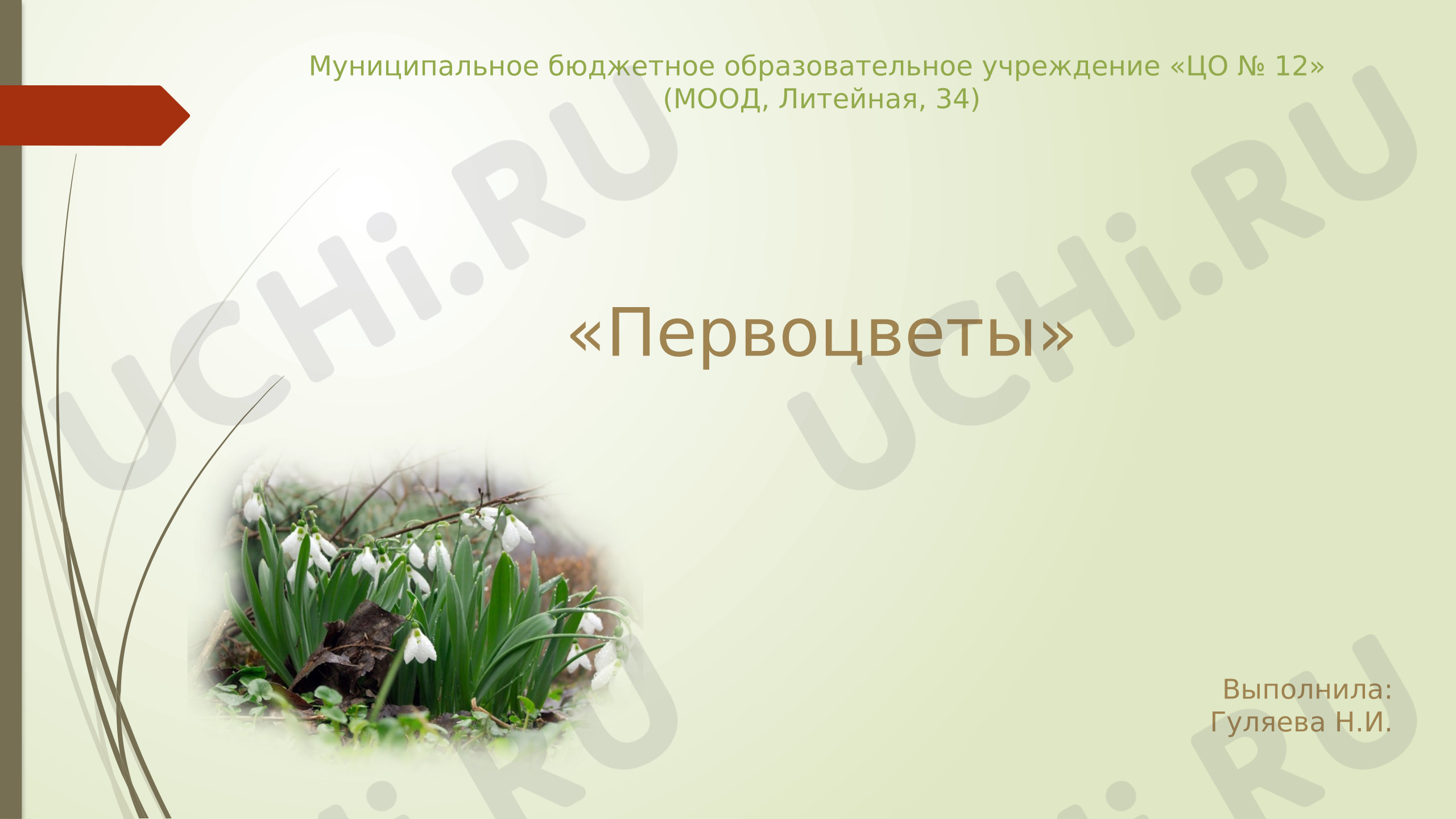 Предпросмотр материала Презентация к уроку окружающего мира. Первоцветы.