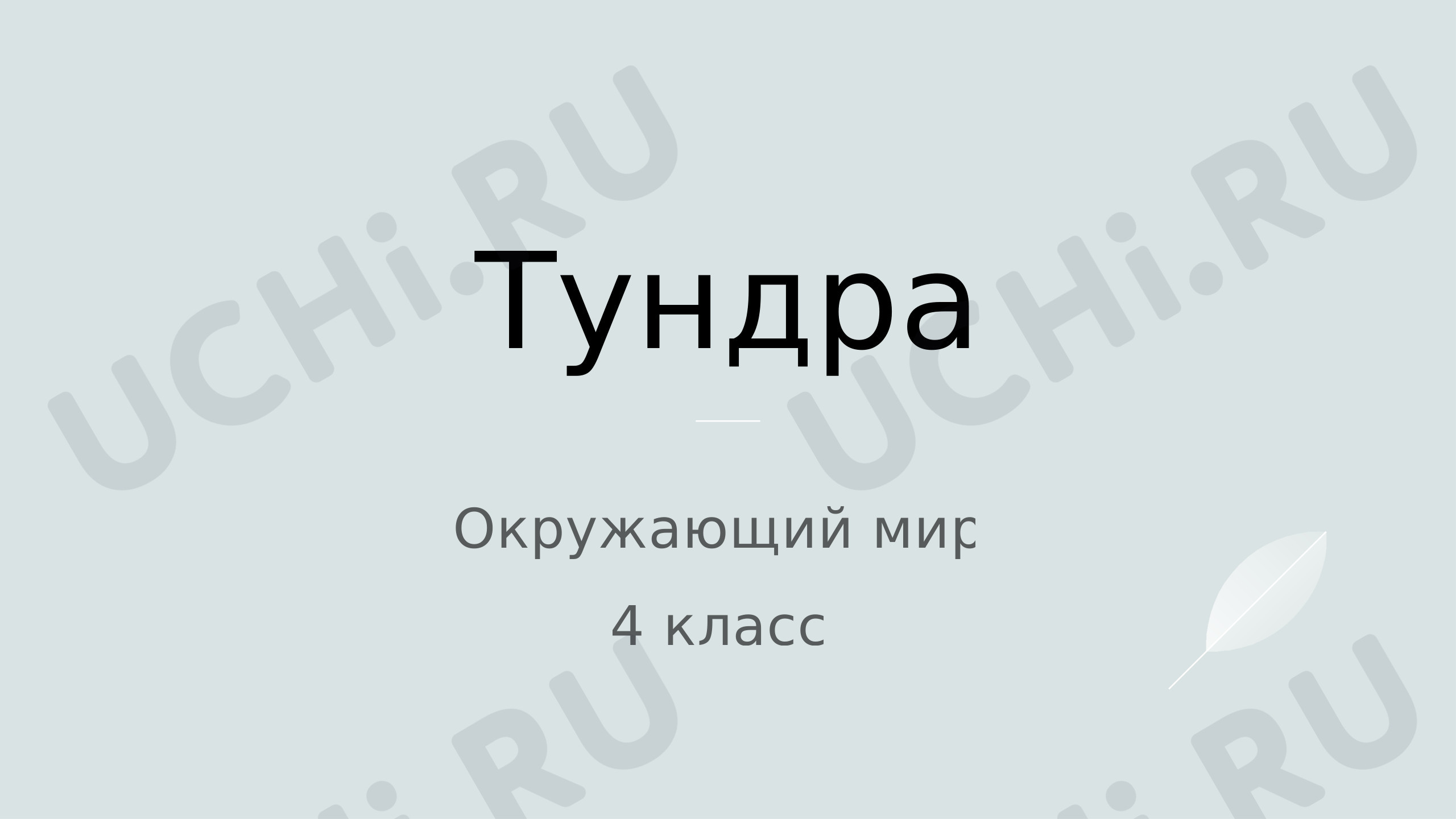 Предпросмотр материала Природные зоны. Тундра