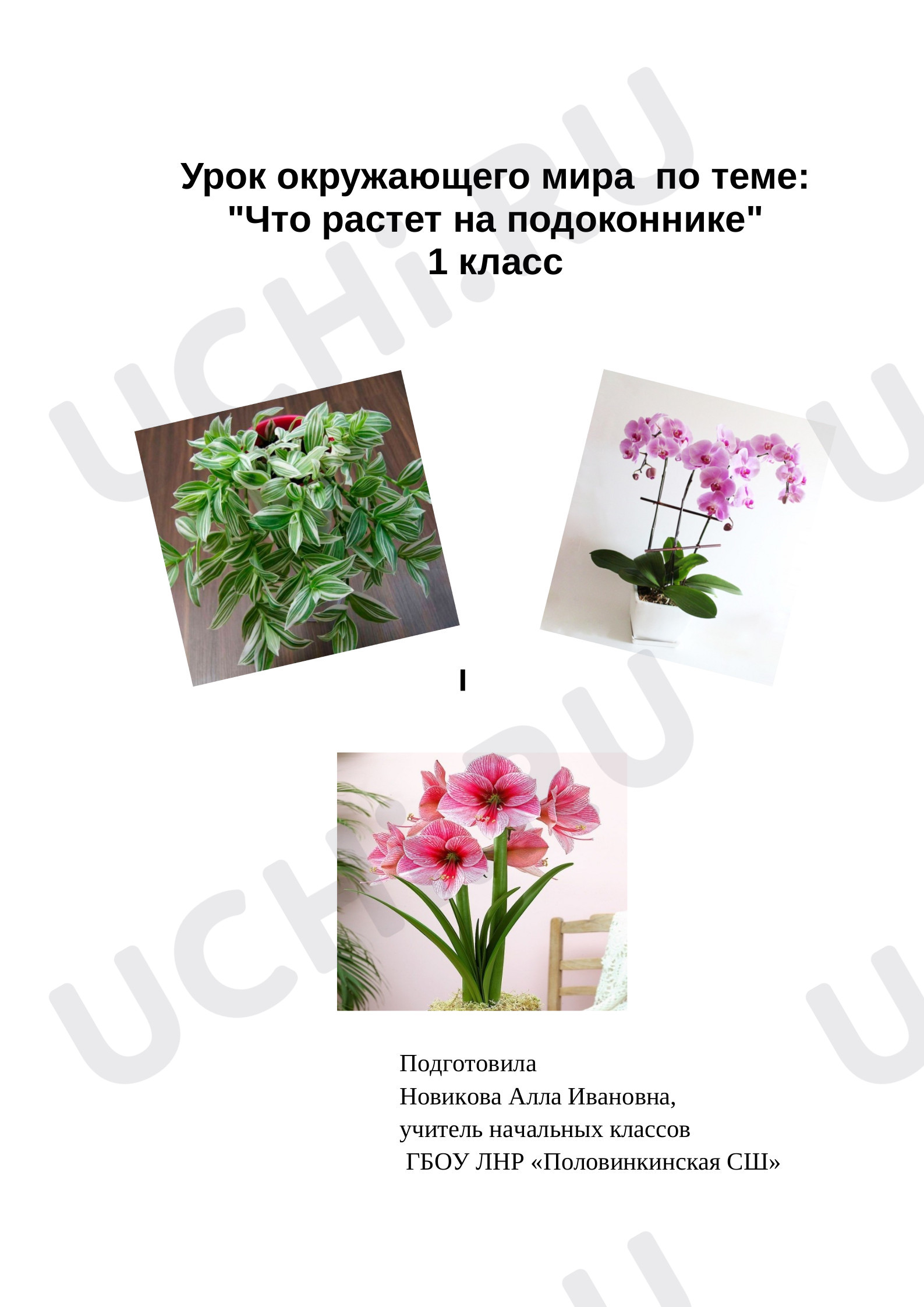 Предпросмотр материала Конспект урока по окружающему миру. Что растет на подоконнике.