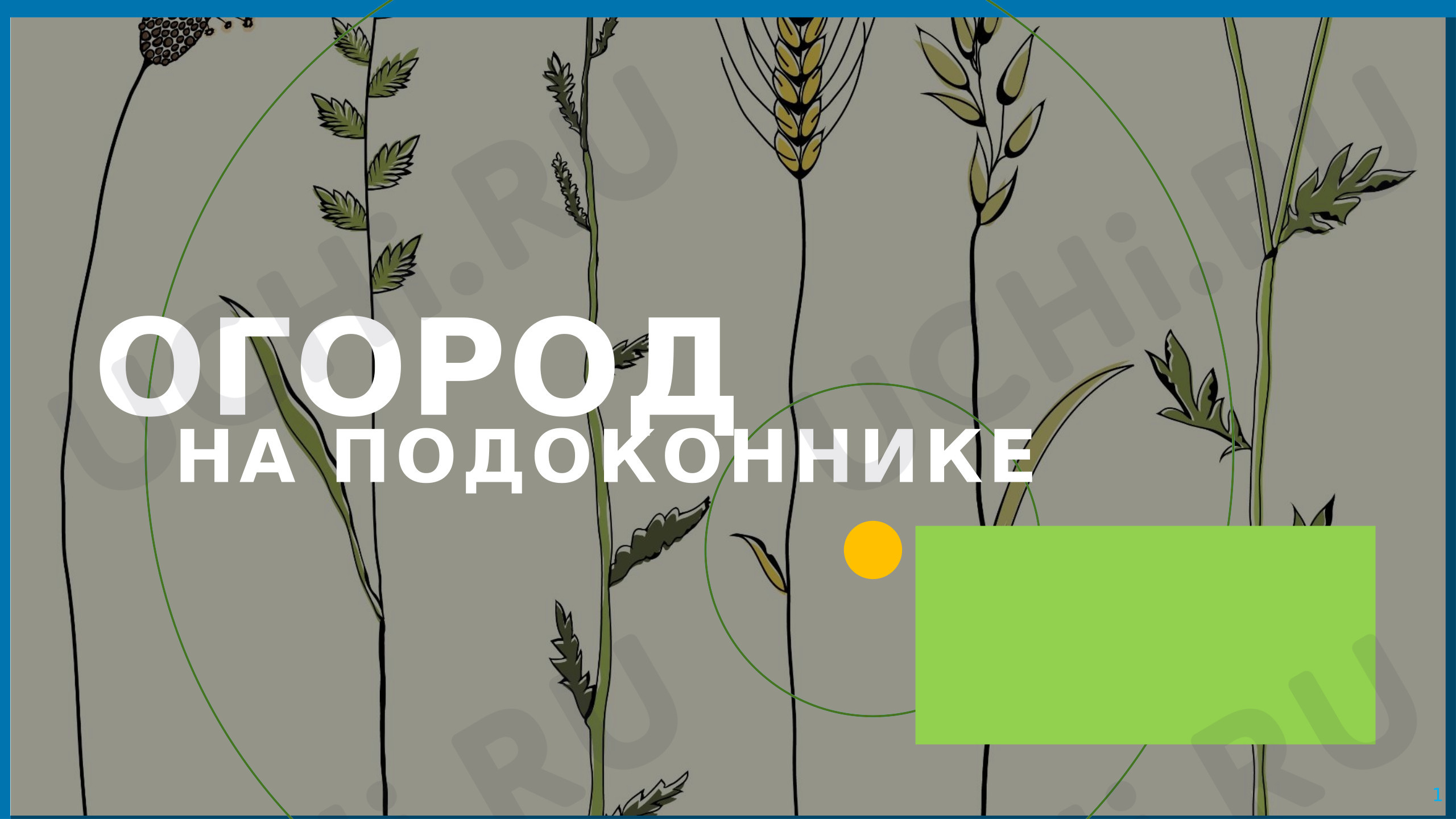 Предпросмотр материала Огород на подоконнике. Проект