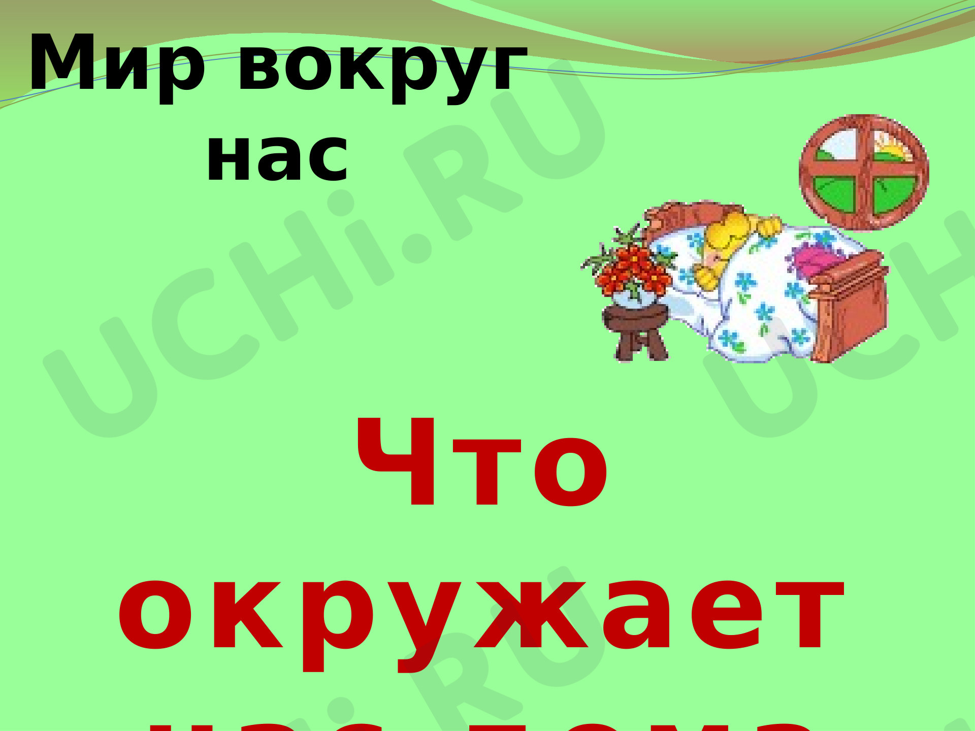 Предпросмотр материала Что окружает нас дома?