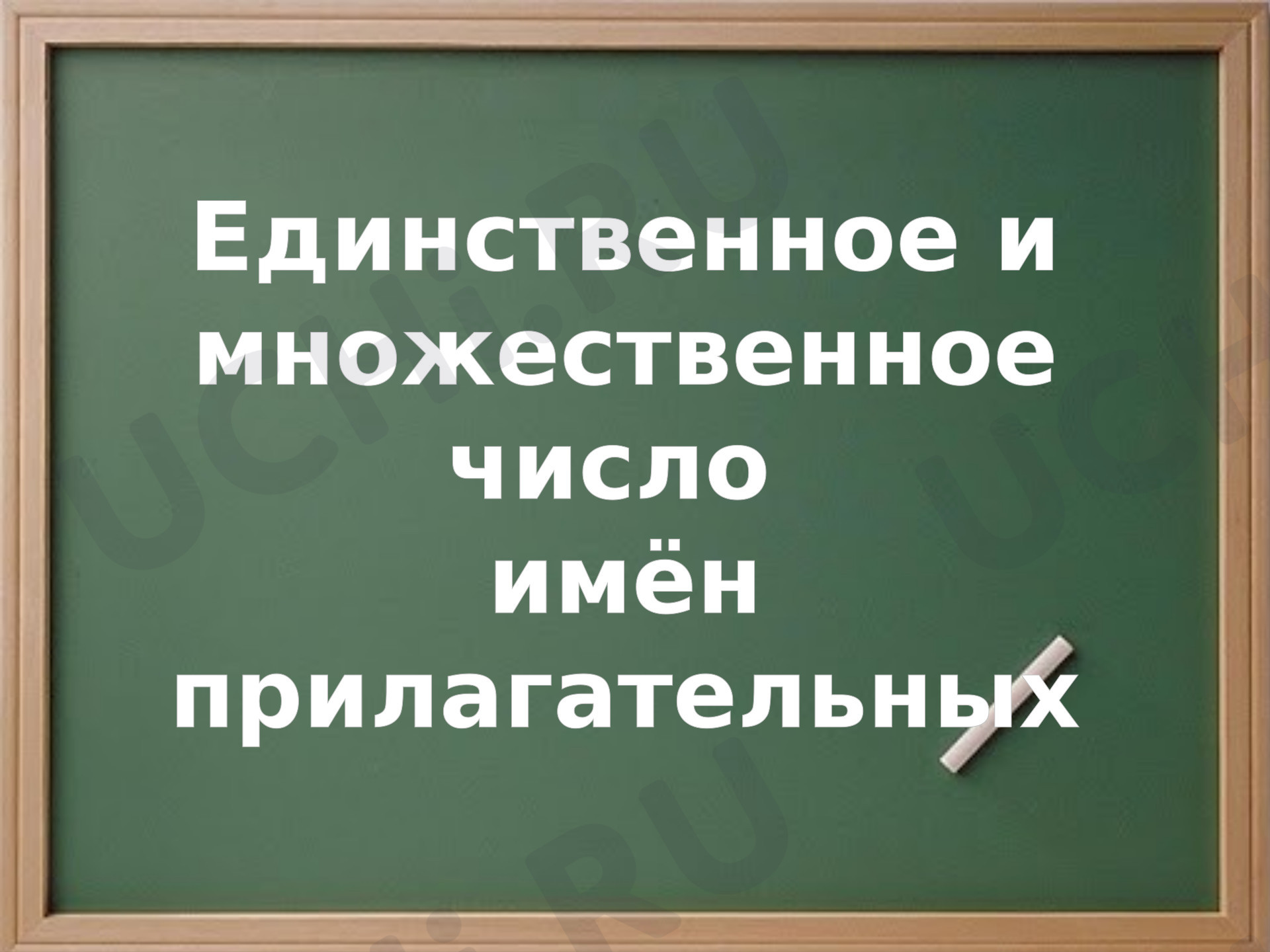 Предпросмотр материала Презентация по русскому языку на тему: Число имени прилагательного.