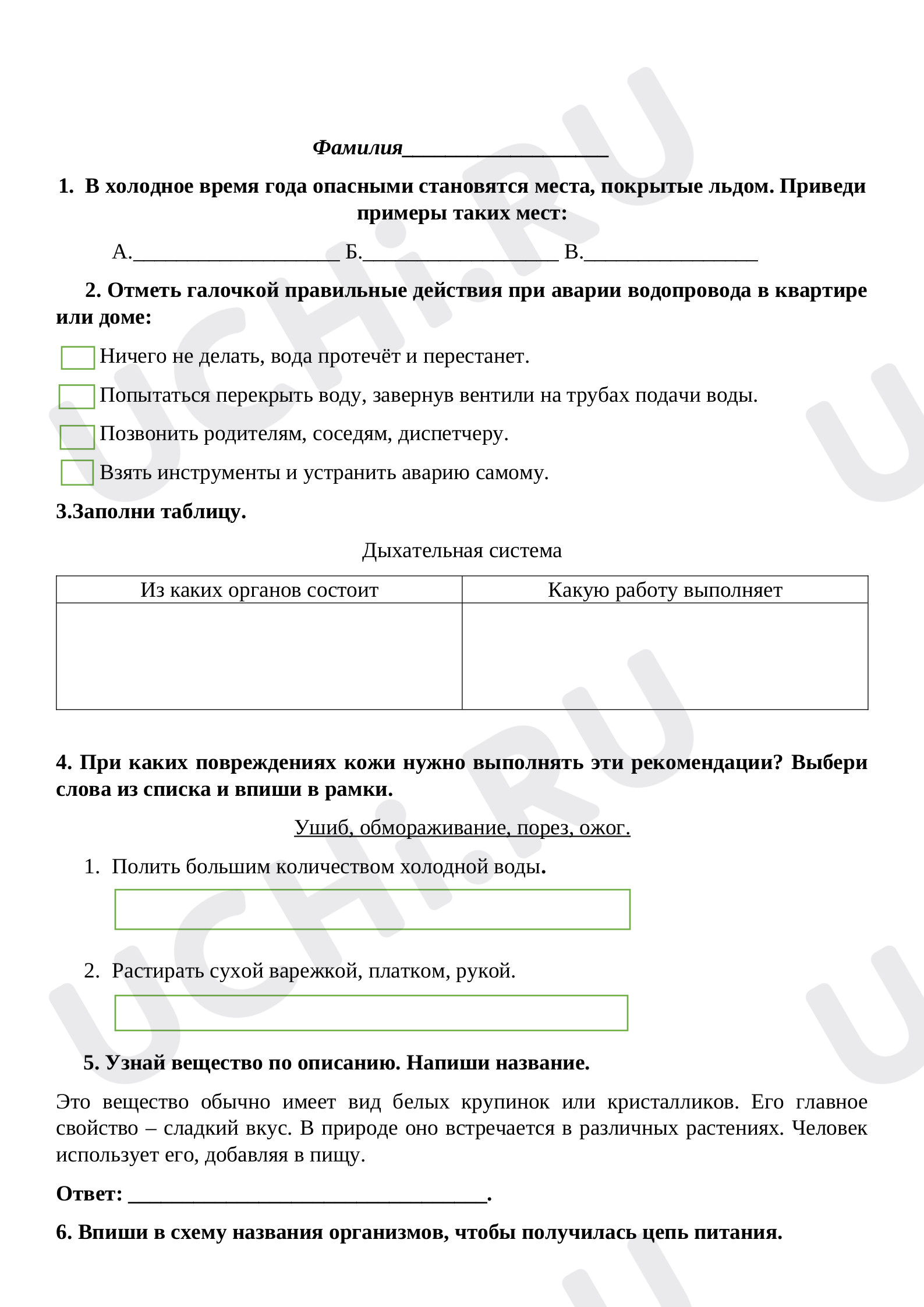 Рабочий лист к уроку окружающего мира в разделе Человек: Опора тела и  движение | Учи.ру