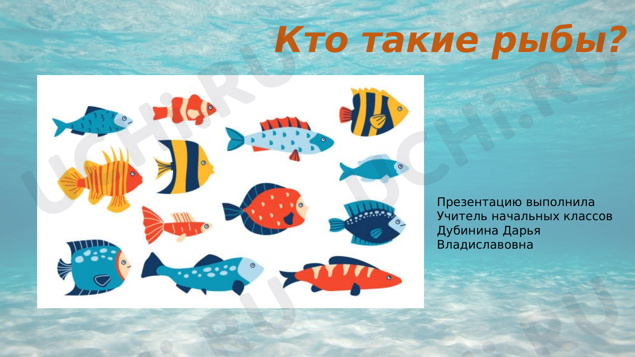 Предпросмотр материала Презентация по окружающему миру "Кто такие рыбы?"