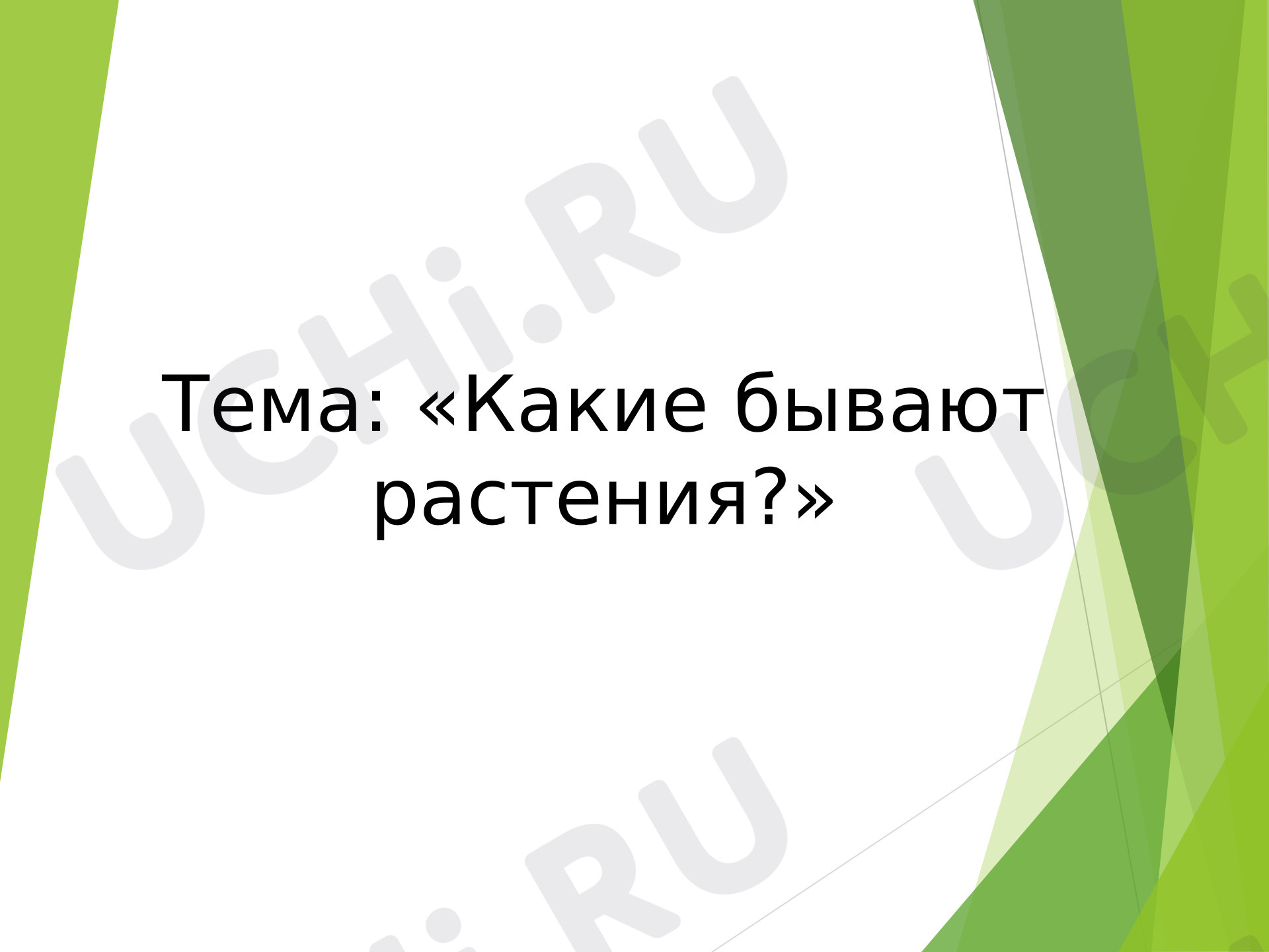 Предпросмотр материала Презентация к уроку окружающего мира. Какие бывают растения?