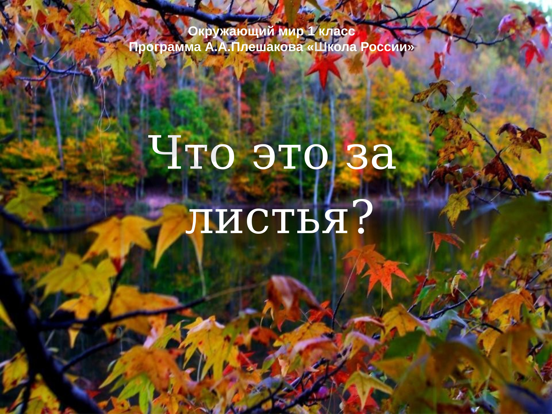 Предпросмотр материала Презентация к уроку окружающего мира. Что это за листья? 1 класс