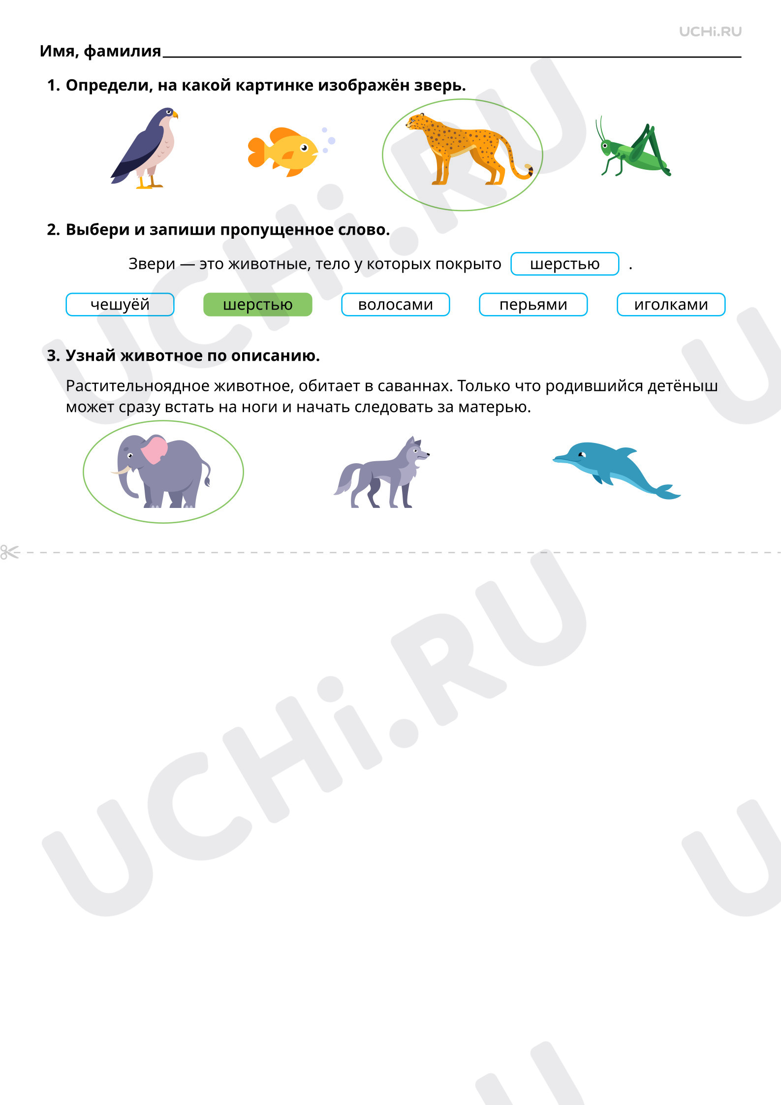 Ответы к рабочим листам по теме «Мир животных: звери (узнавание ...
