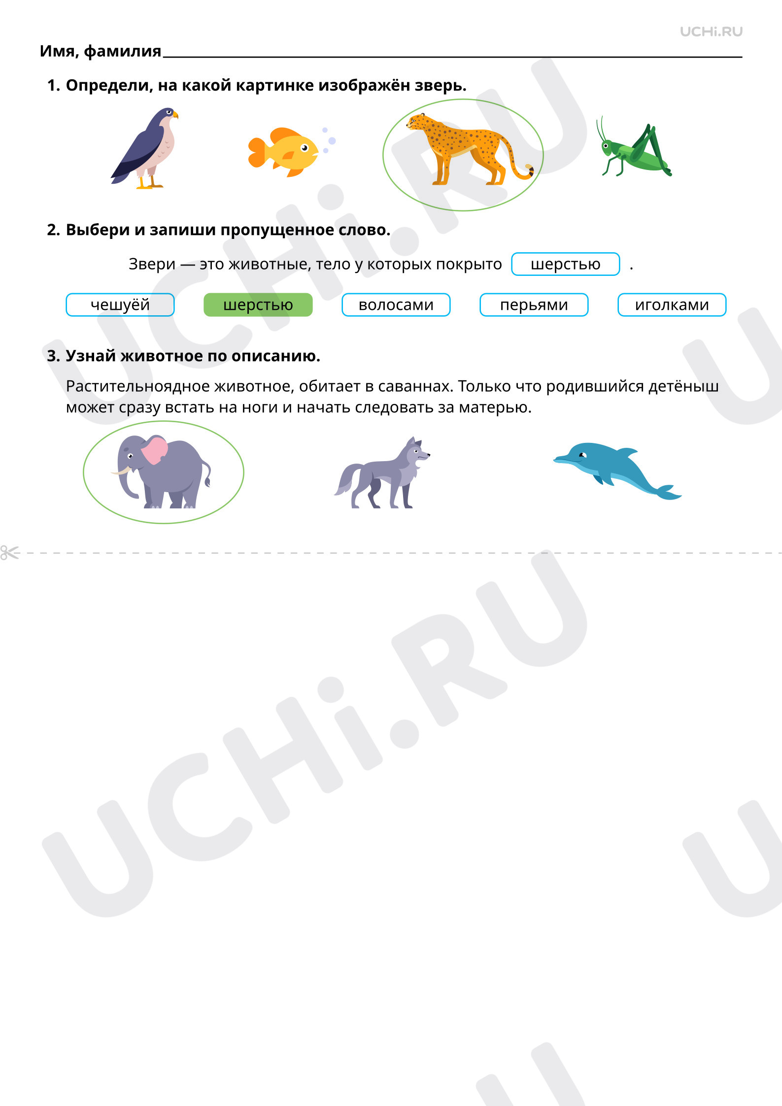 Ответы к рабочим листам по теме «Мир животных: звери (узнавание, называние,  сравнение, краткое описание)»: Мир животных: звери (узнавание, называние,  сравнение, краткое описание) | Учи.ру