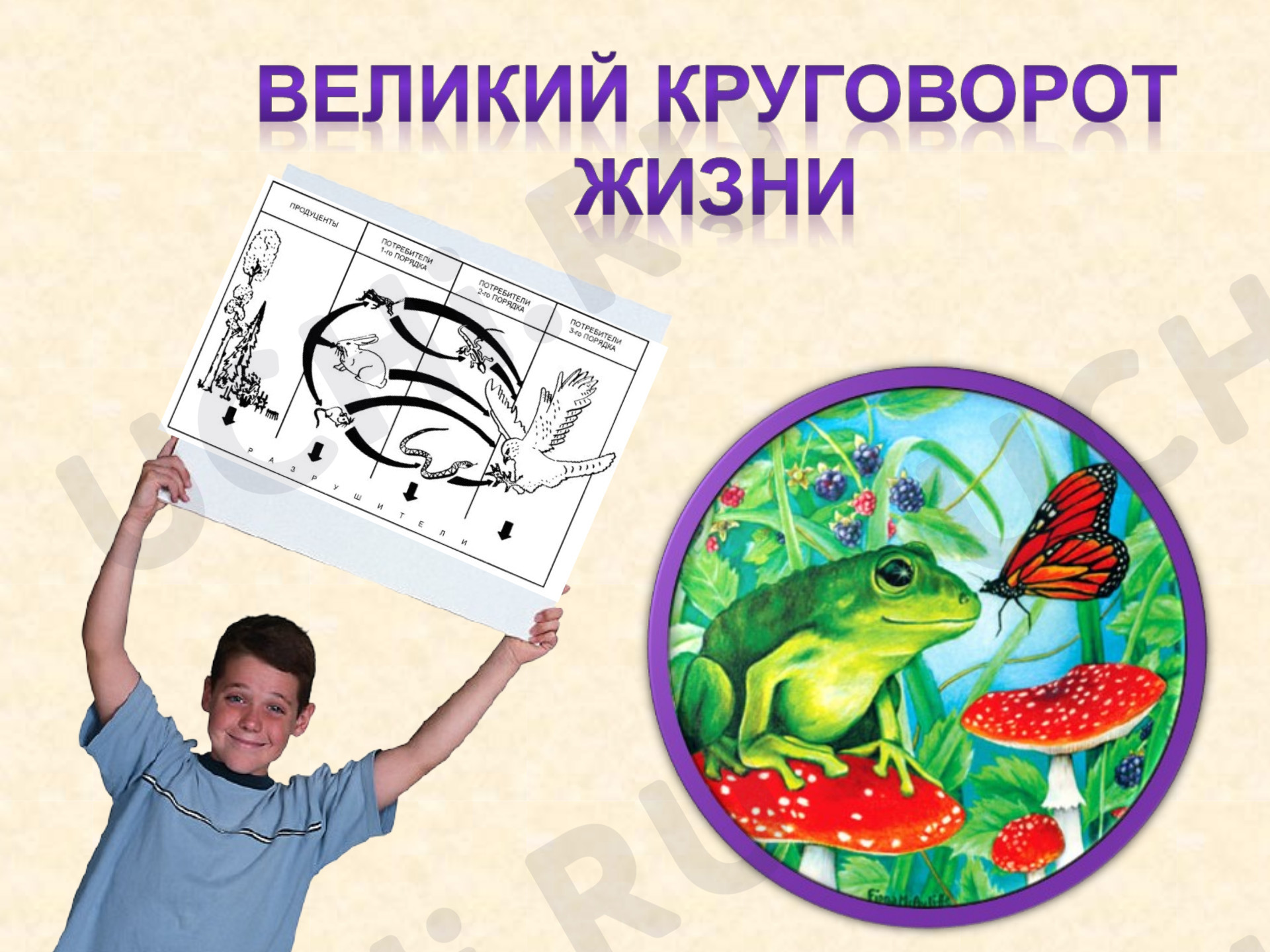 Предпросмотр материала Великий круговорот жизни