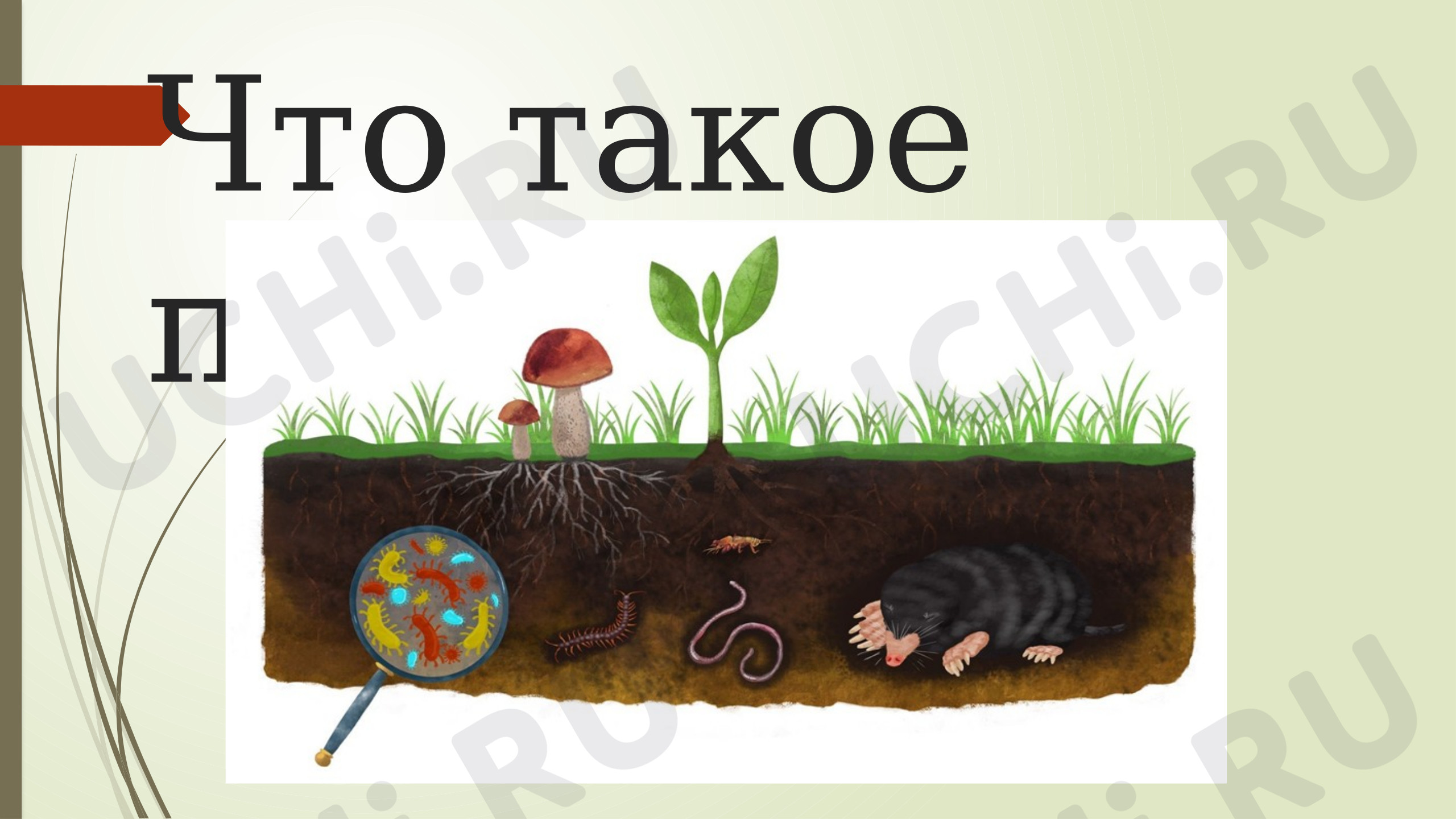 Предпросмотр материала Почва