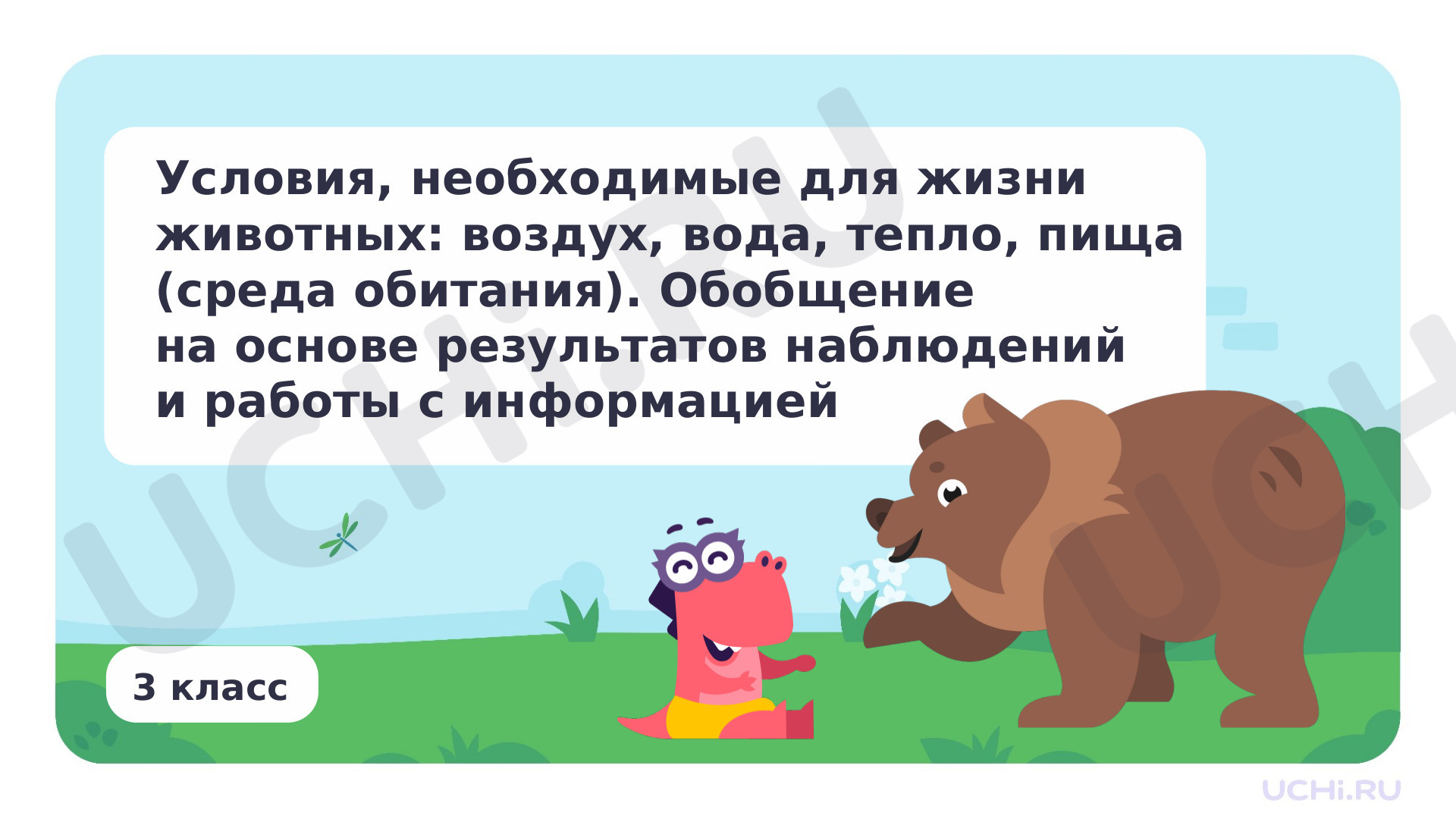 Предпросмотр материала Условия, необходимые для жизни животных