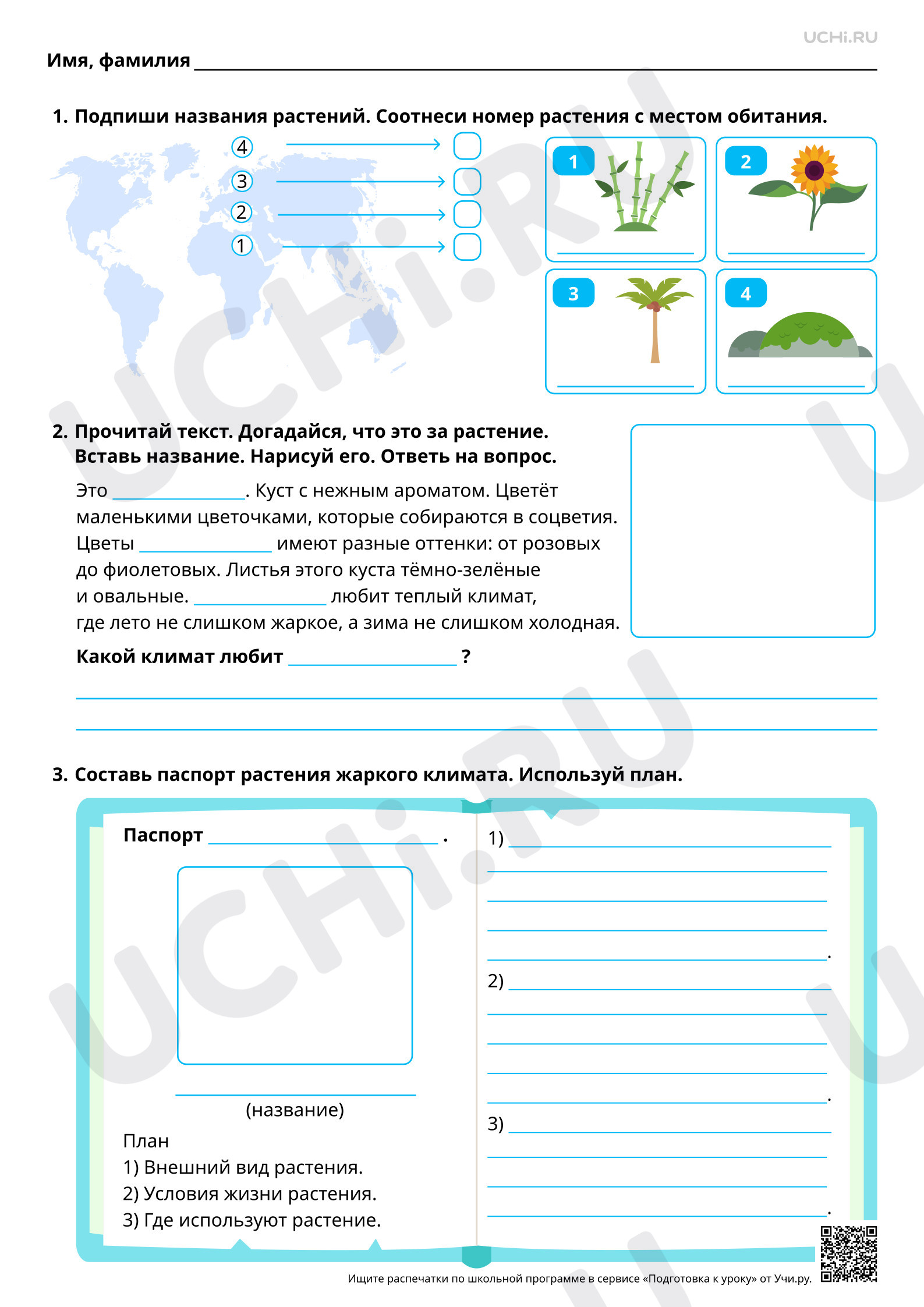 Предпросмотр материала Многообразие растений по месту обитания, внешнему виду. Повышенный уровень