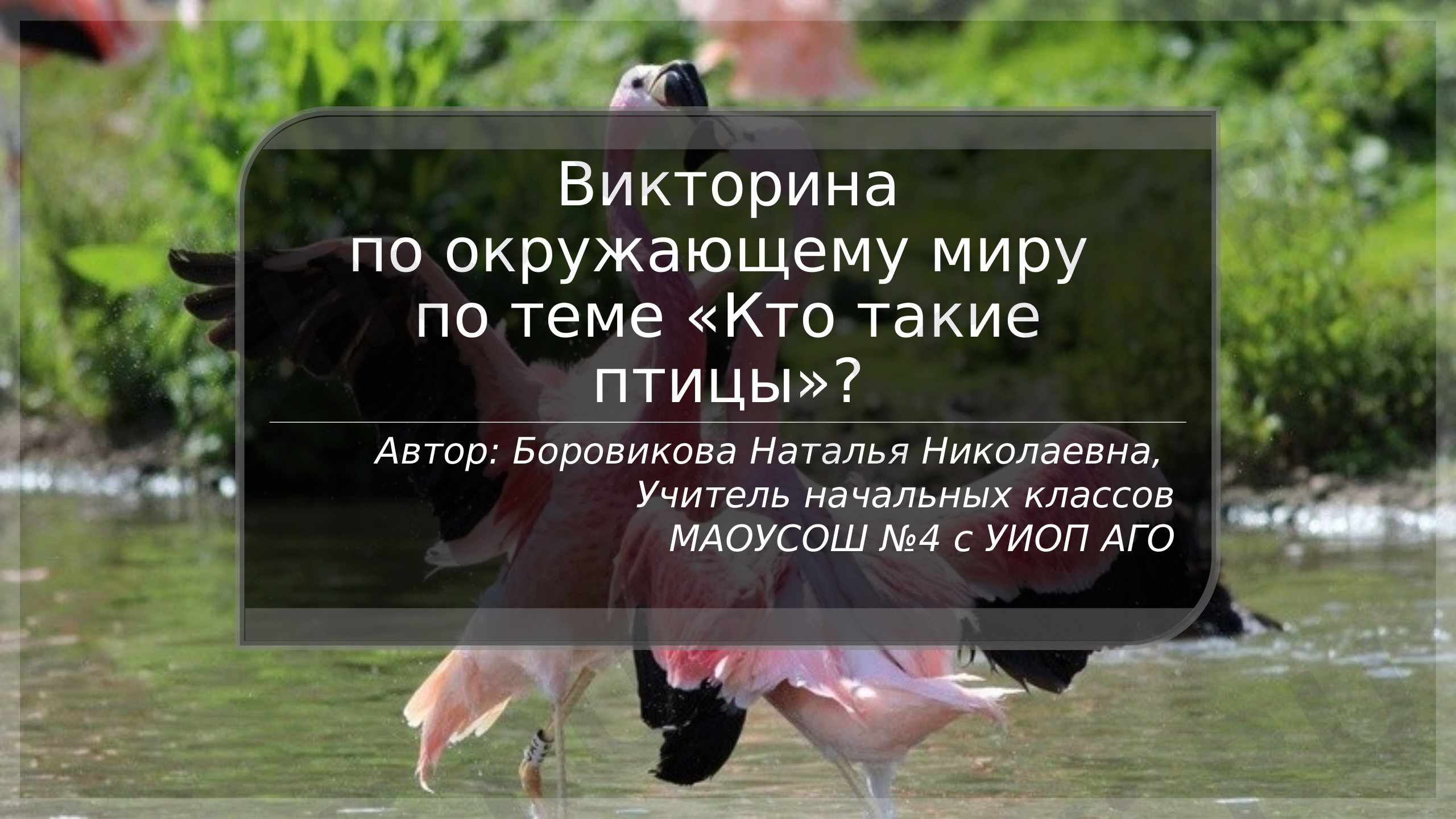 Предпросмотр материала Кто такие птицы