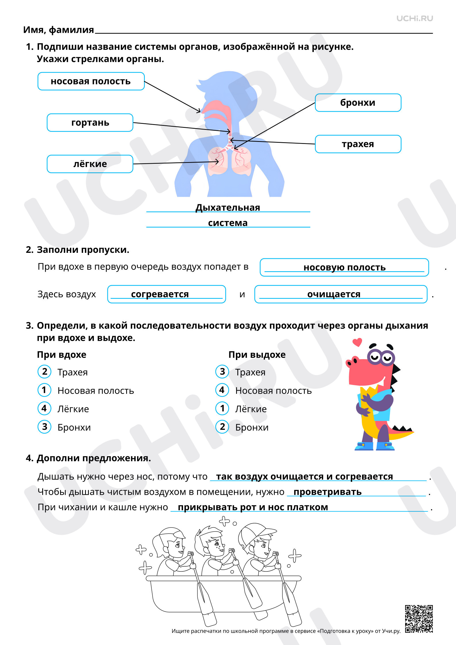 Предпросмотр материала Дыхательная система и её роль в жизни человека. Ответы