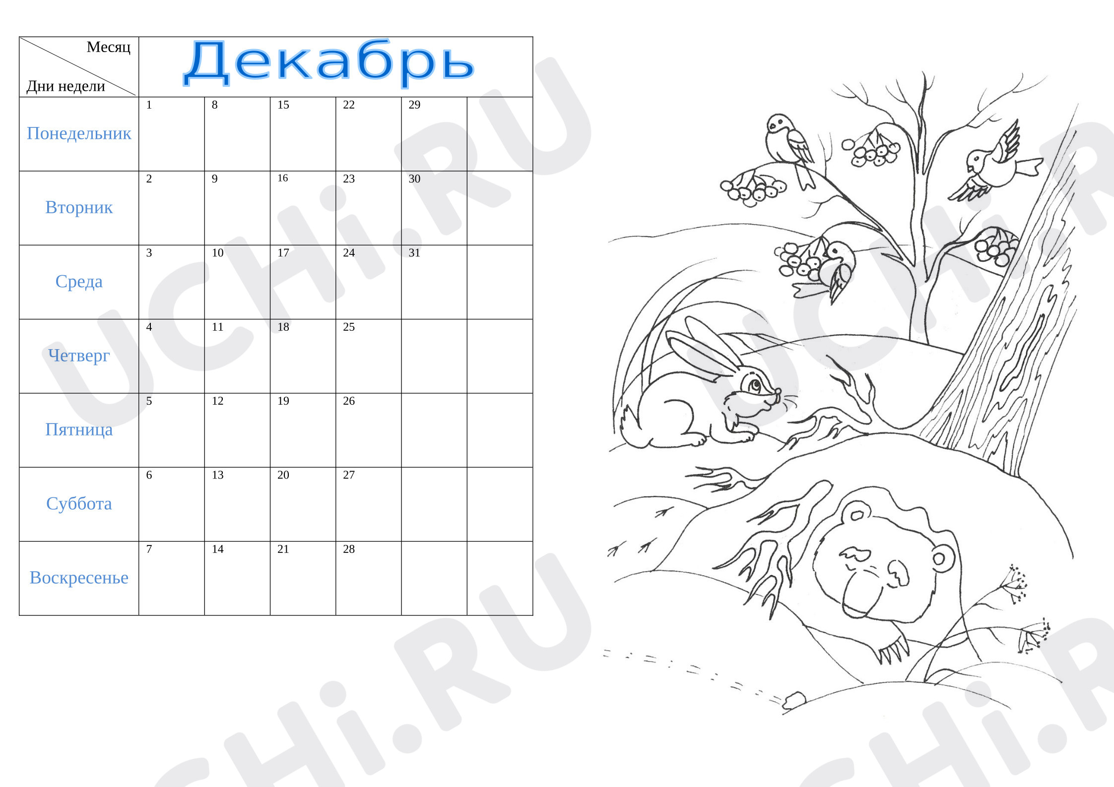 Предпросмотр материала Рабочий лист. Дневник наблюдения.