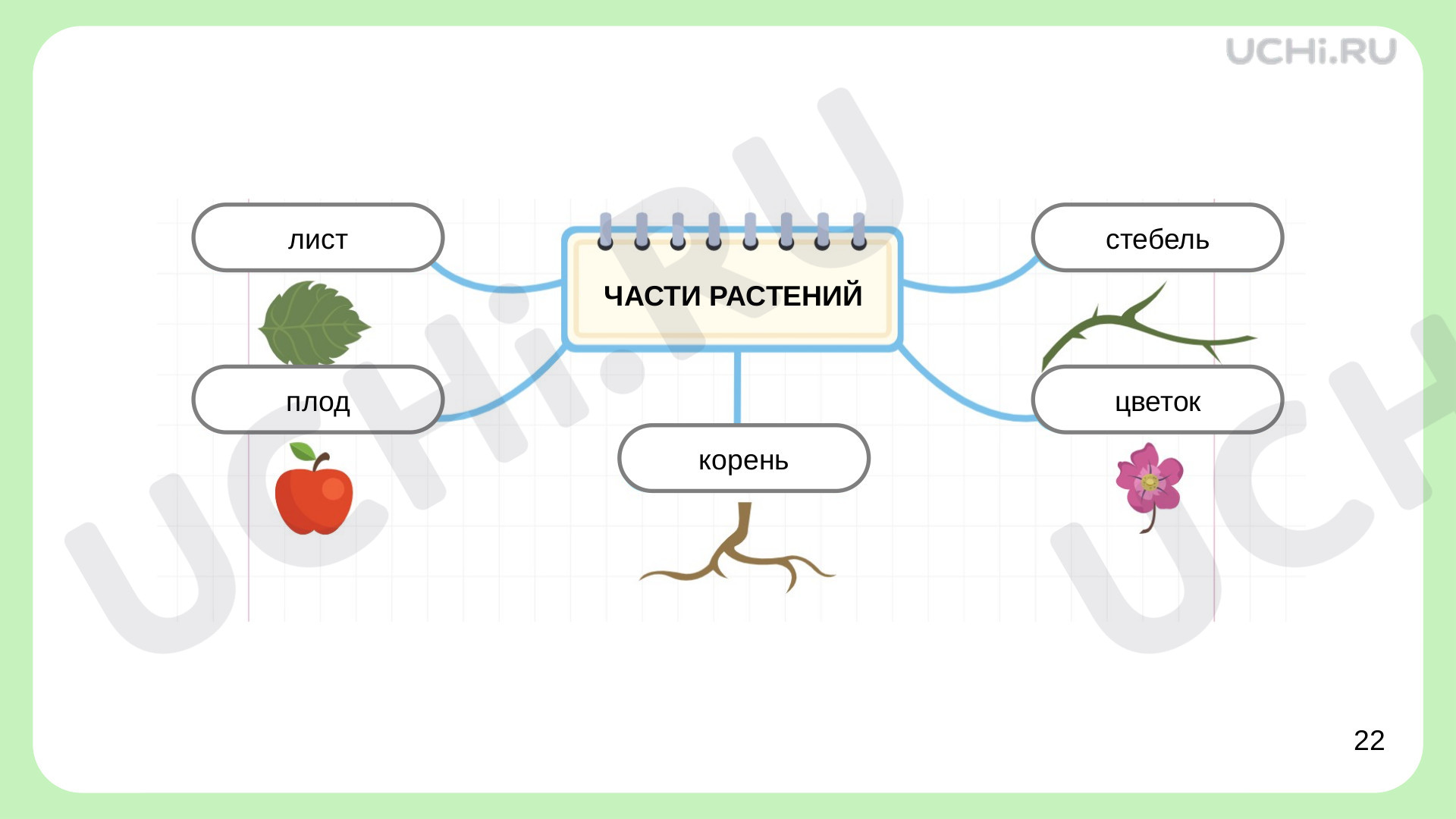 Материалы по теме 