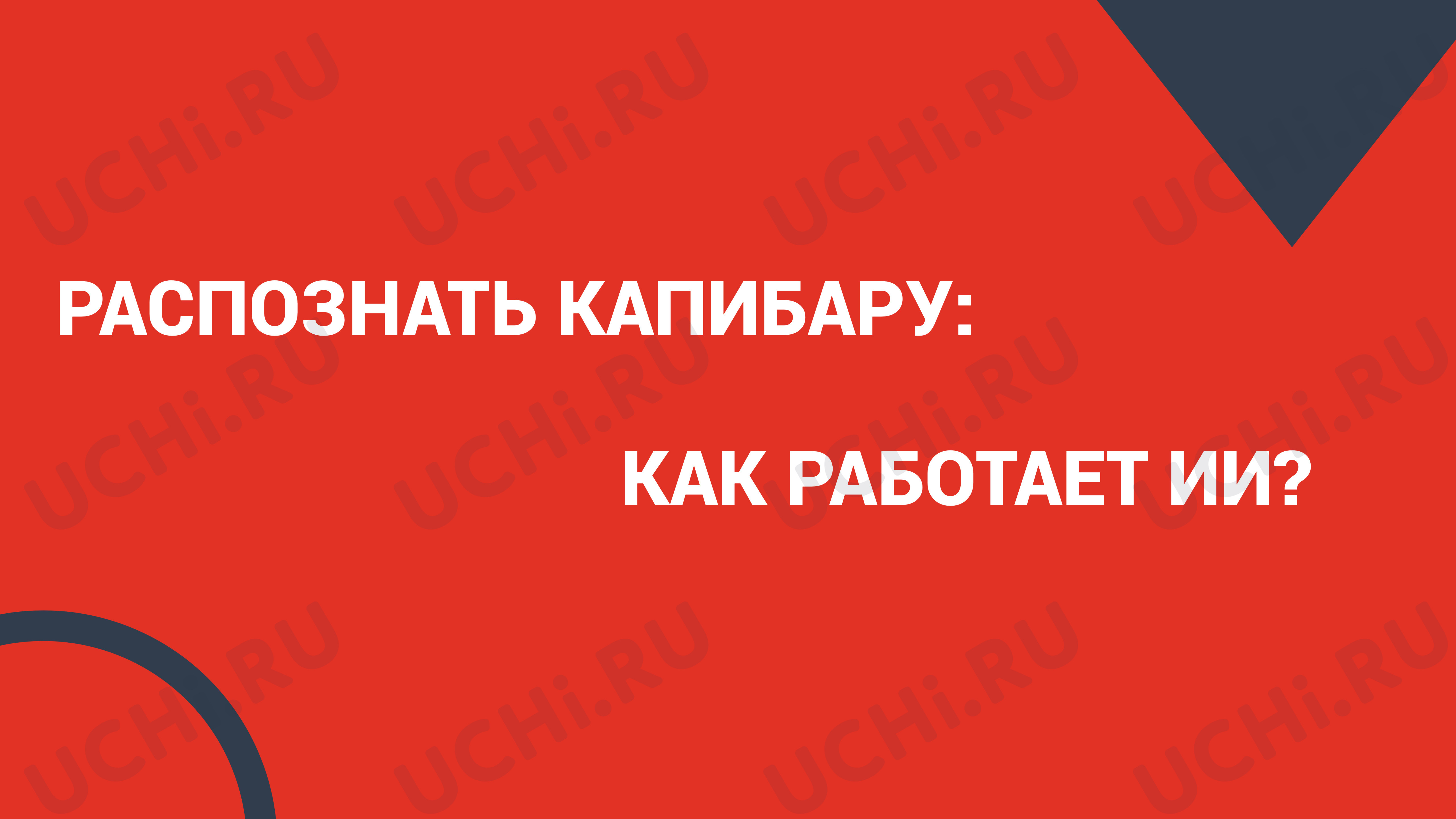Предпросмотр материала Презентация по теме: Как работает Искусственный Интеллект на простом примере