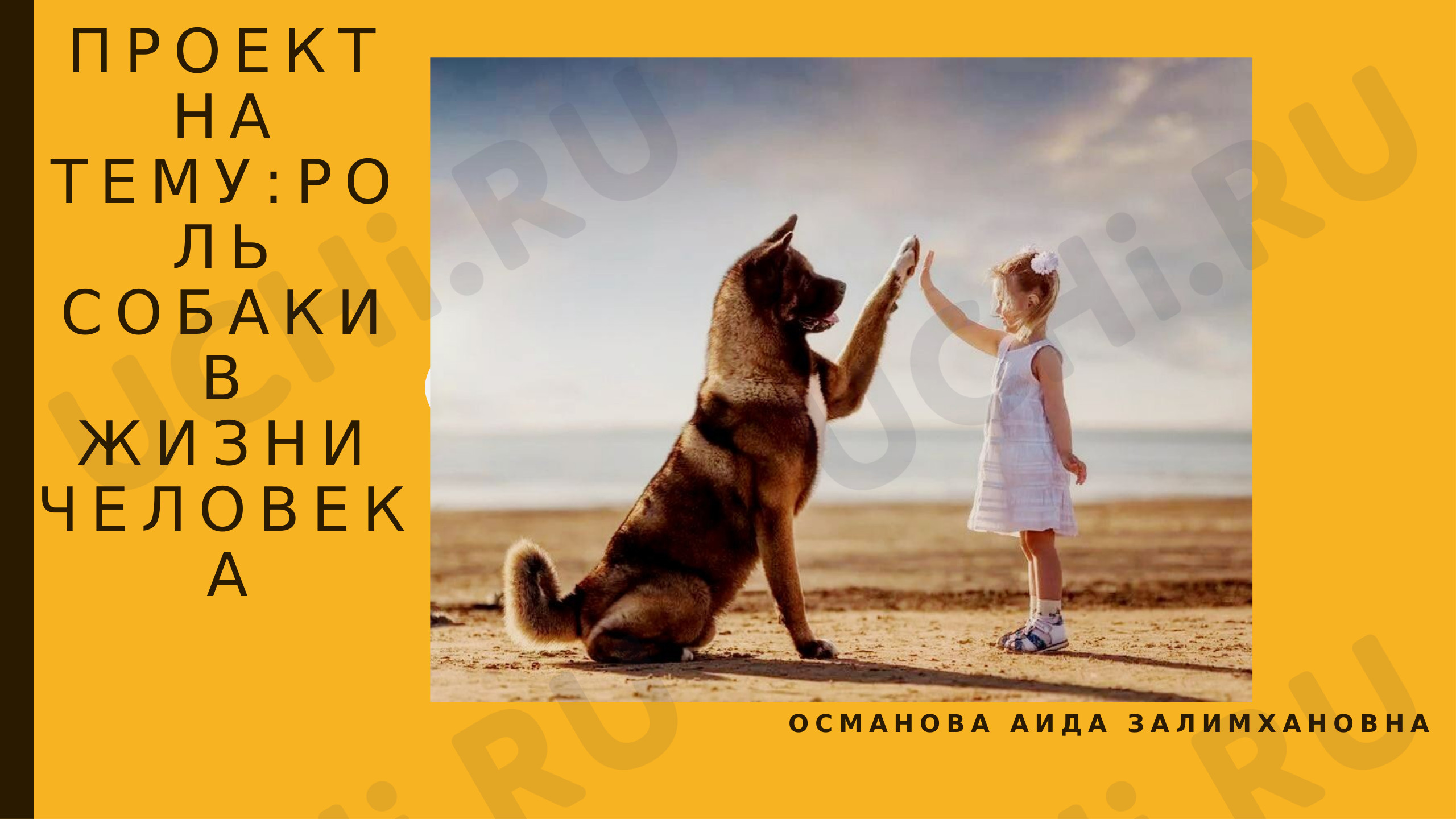 Предпросмотр материала Роль домашних собак