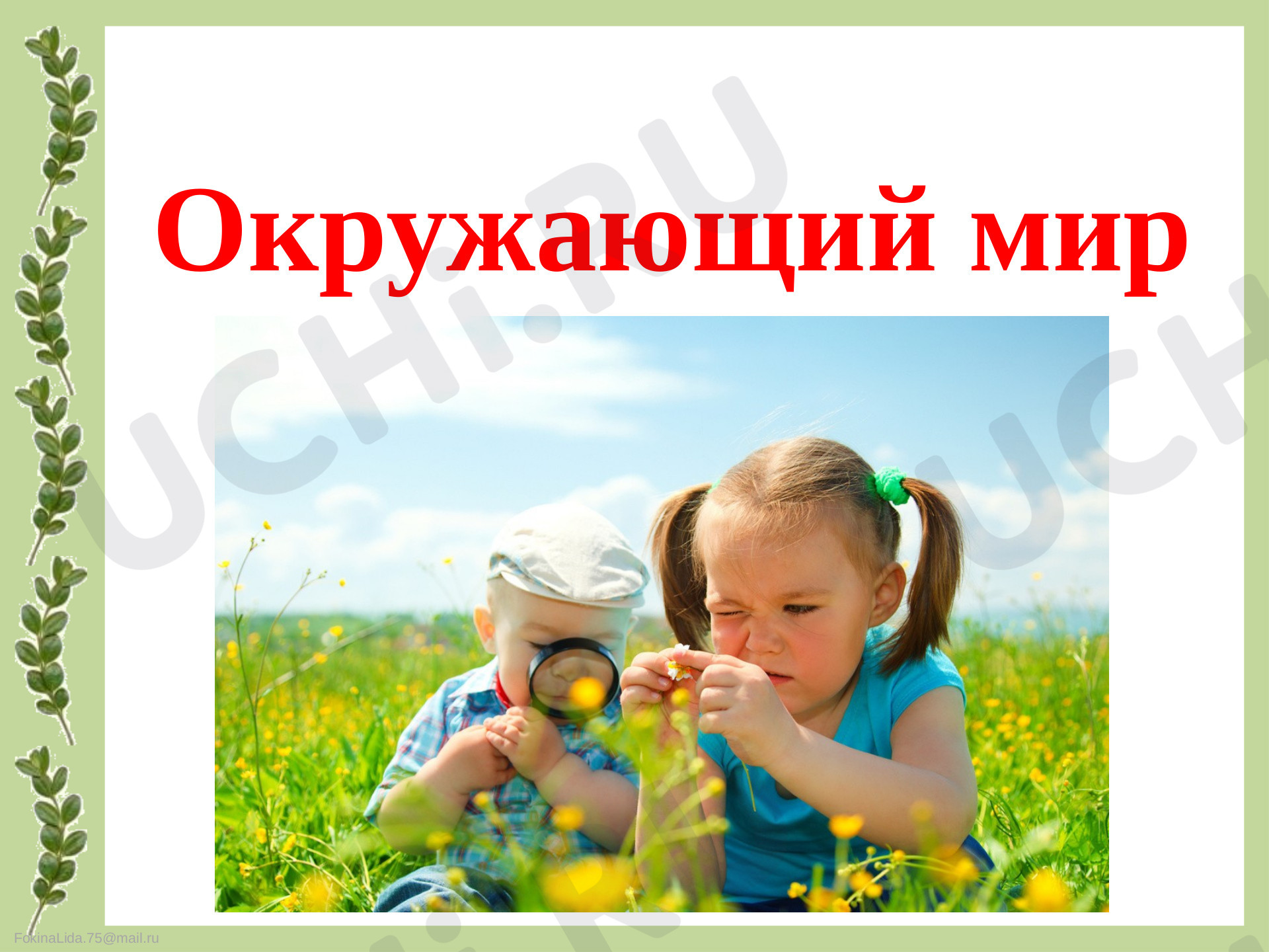 Предпросмотр материала Растения