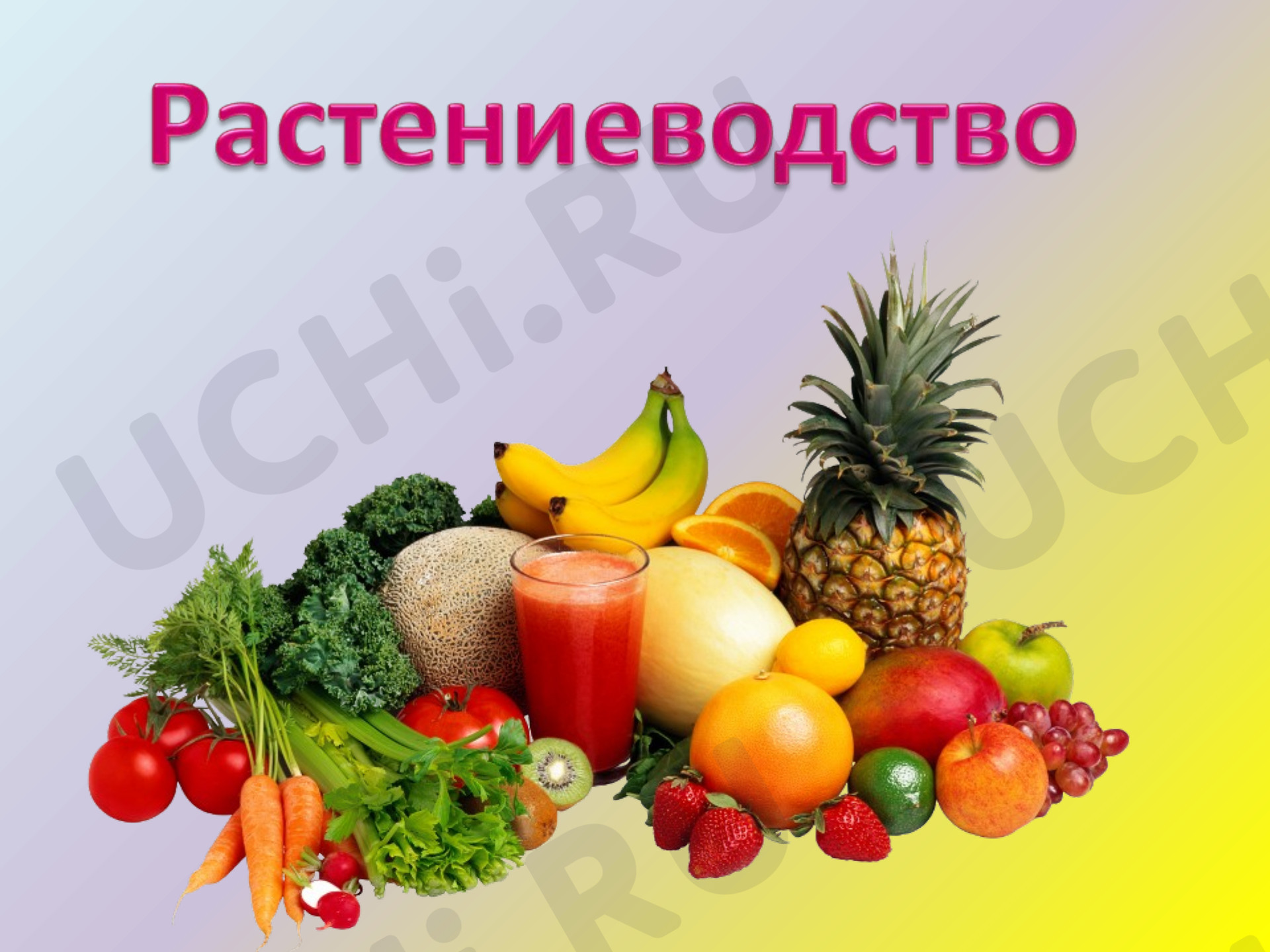 Предпросмотр материала Презентация к уроку окружающего мира. Растениеводство в нашем крае