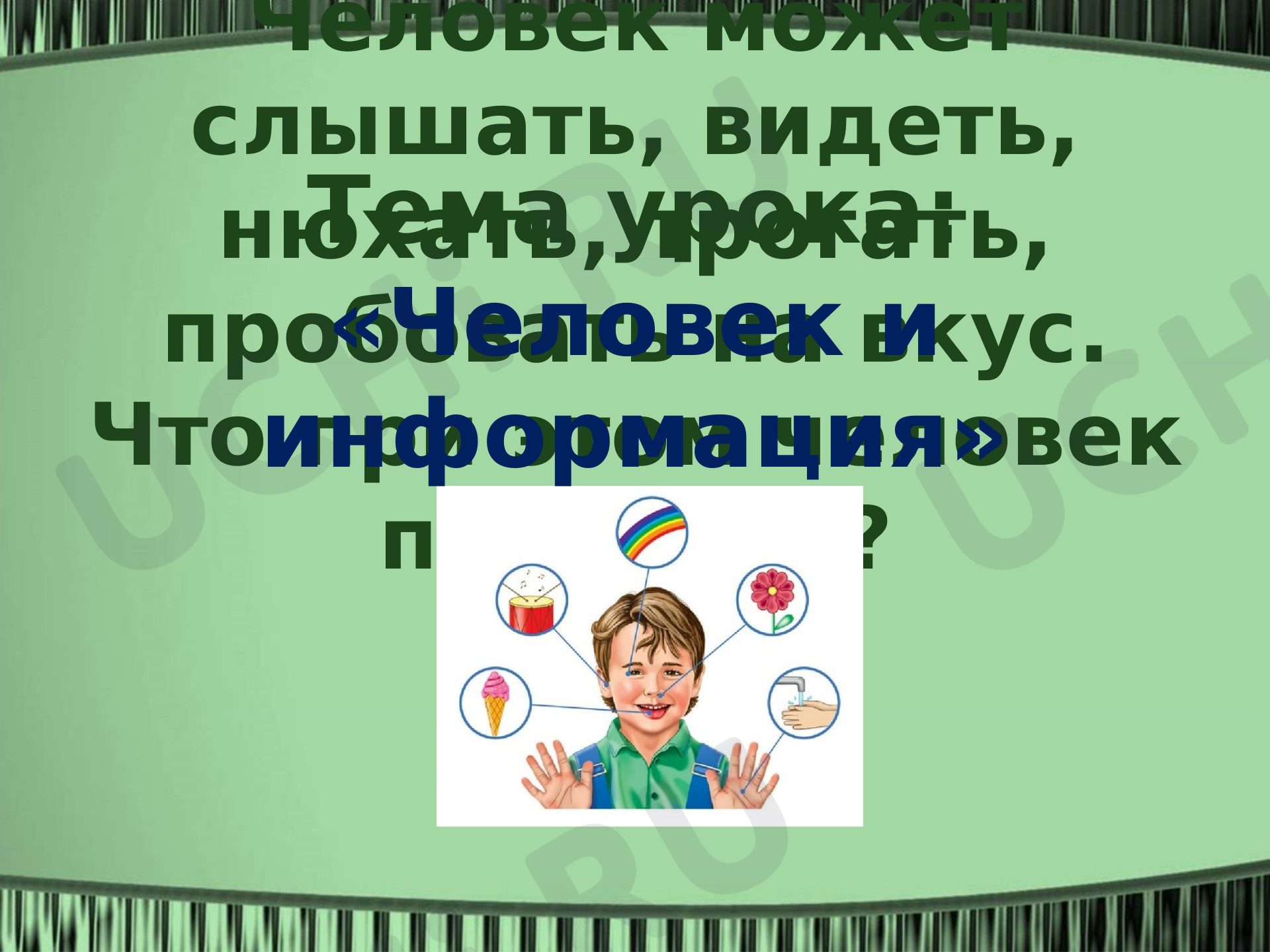 Предпросмотр материала Человек и информация.