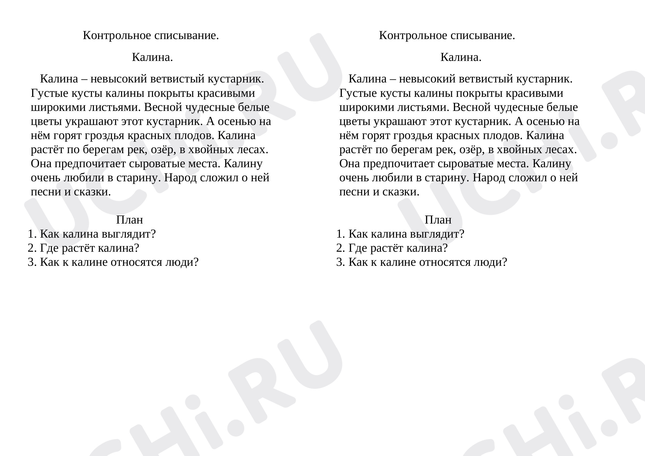 Предпросмотр материала Русский язык, проверочная работа, контрольное списывание.