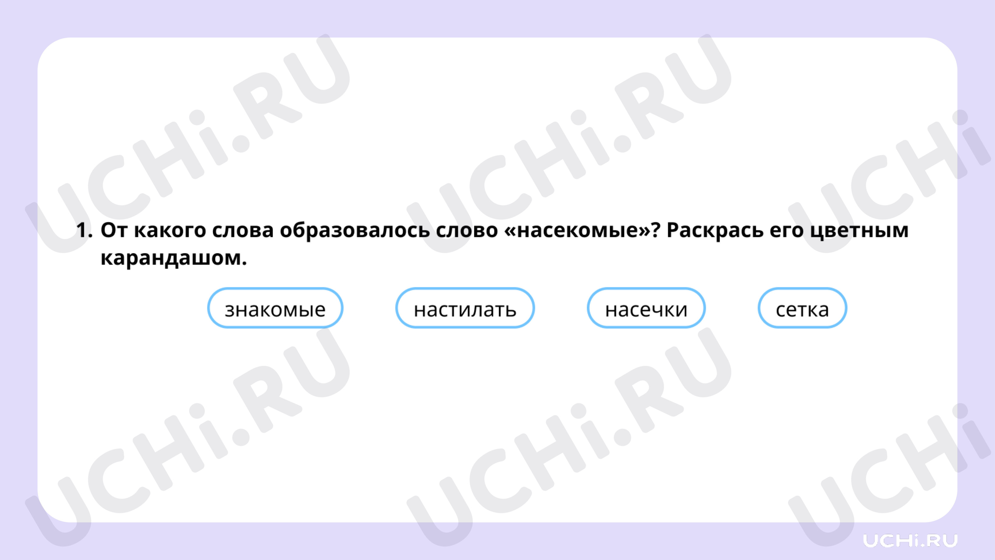 Рабочие листы по теме «Насекомые: сравнение, краткое описание внешнего  вида». Базовый уровень: Насекомые: сравнение, краткое описание внешнего  вида | Учи.ру