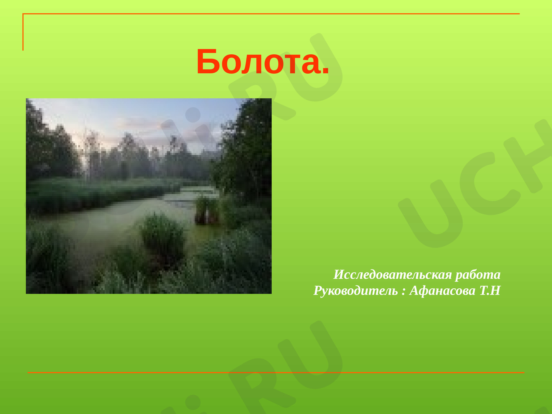 Предпросмотр материала Пёстровское торфяное болото. Пензенская область город Никольск