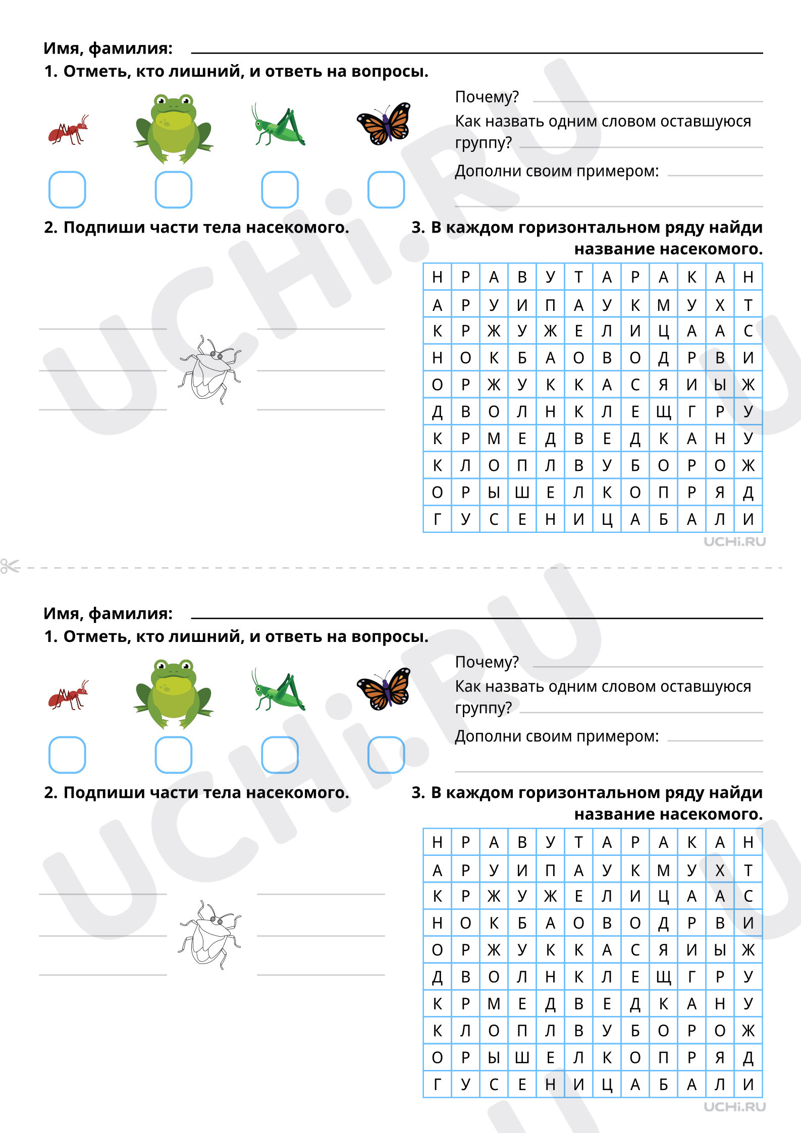 ?? Рабочий лист №5 по теме “Кто такие насекомые? Повышенный уровень” для ...