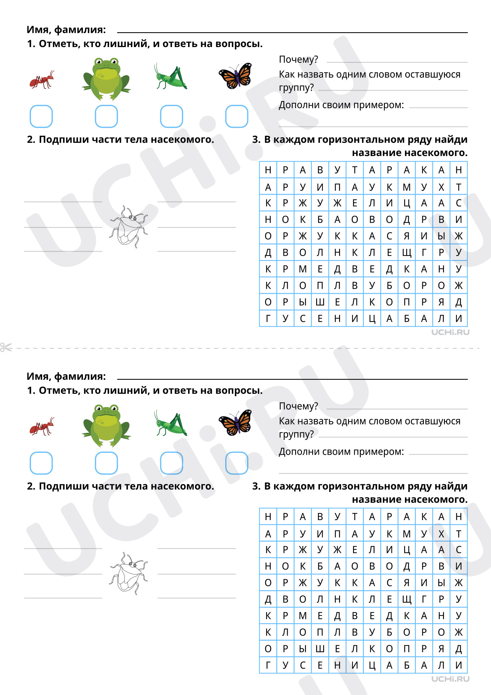 Кто такие насекомые, распечатка. Повышенный уровень, окружающий мир 1  класс: Кто такие насекомые? | Учи.ру