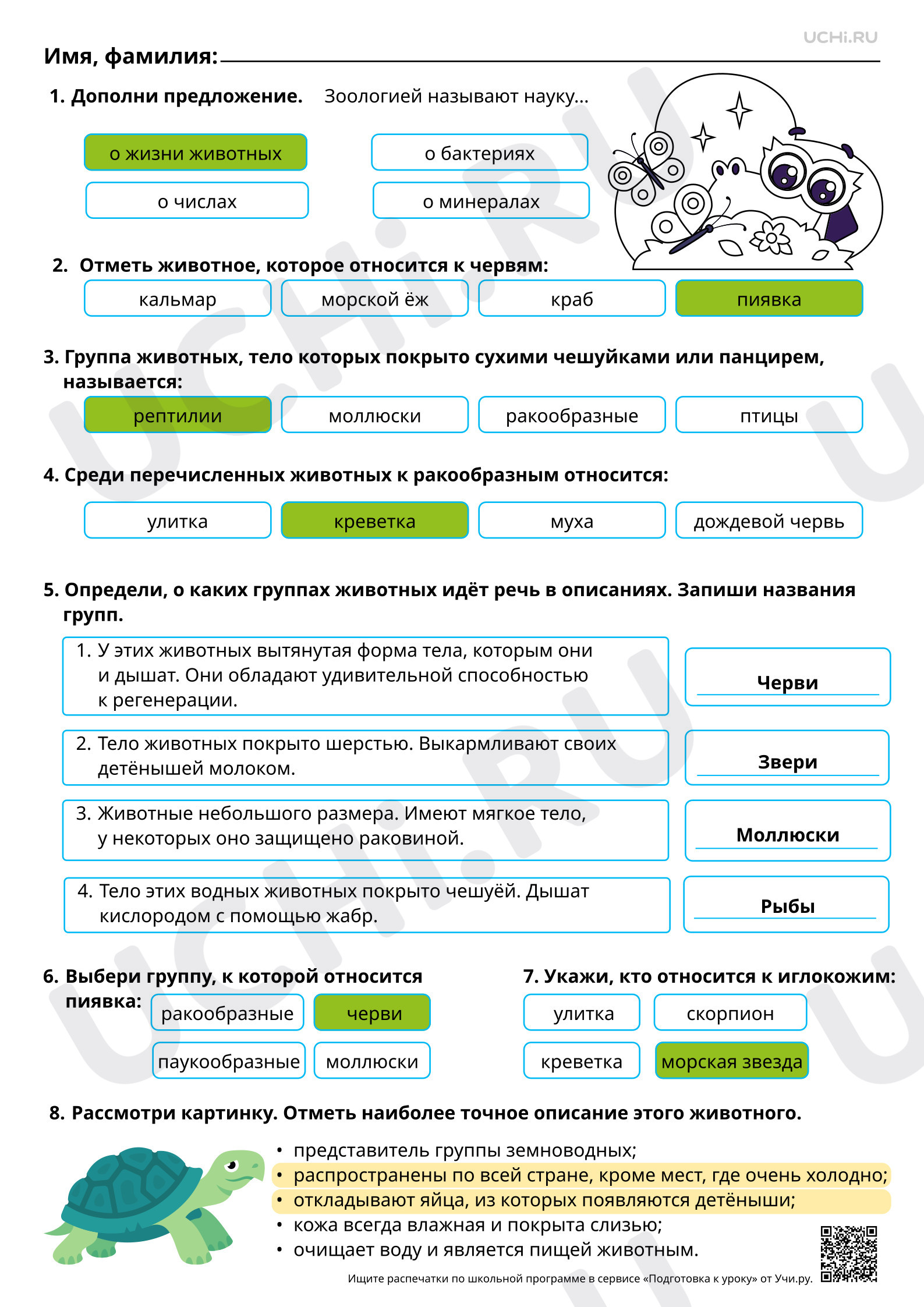 Предпросмотр материала Животные родного края узнавание, называние, краткая характеристика. Ответы.