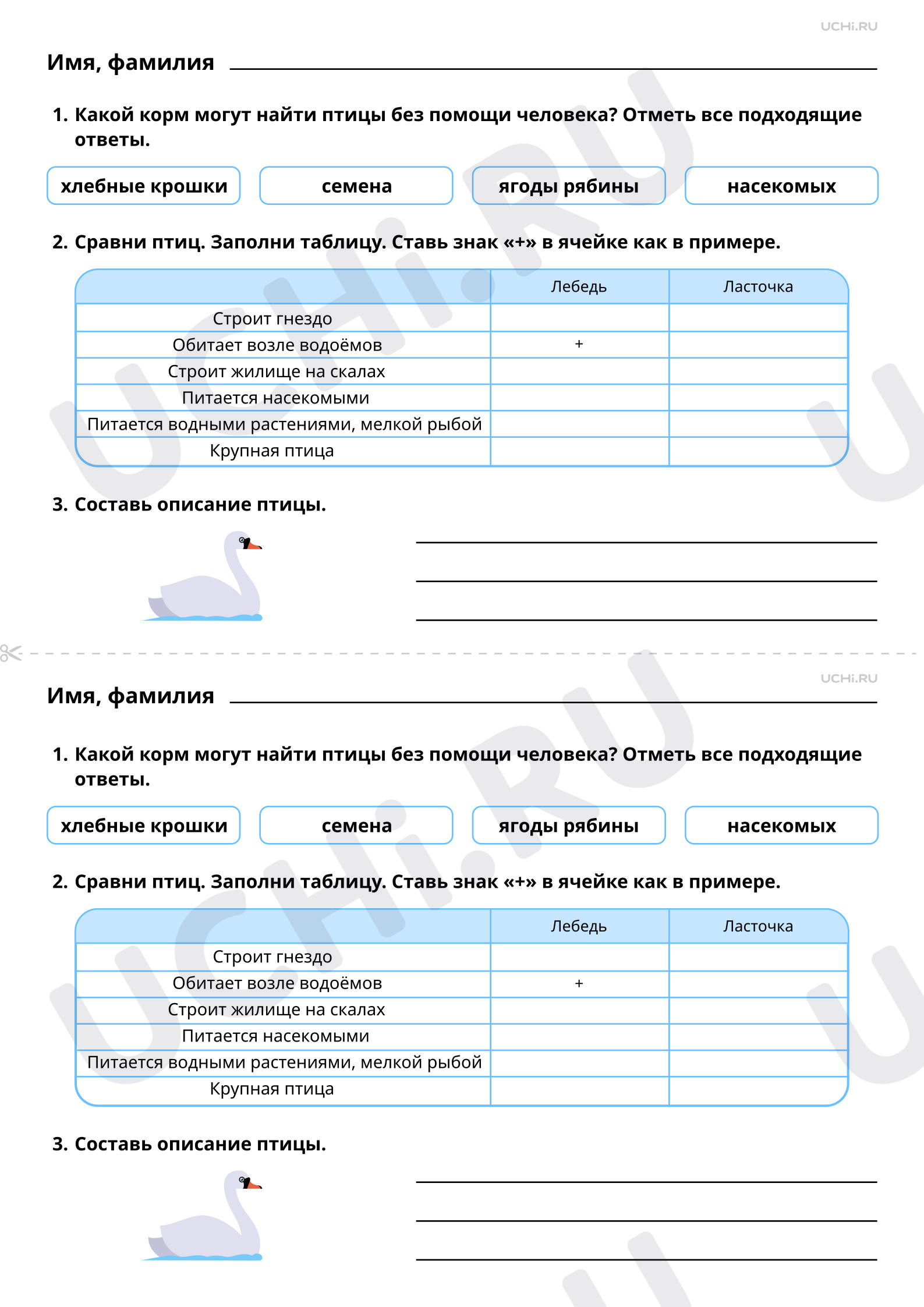 Рабочие листы по теме «Где обитают птицы, чем они питаются. Птицы:  сравнение места обитания, способа питания». Повышенный уровень: Где обитают  птицы, чем они питаются. Птицы: сравнение места обитания, способа питания |  Учи.ру