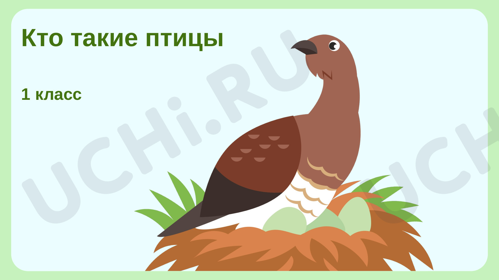 Предпросмотр материала Кто такие птицы?