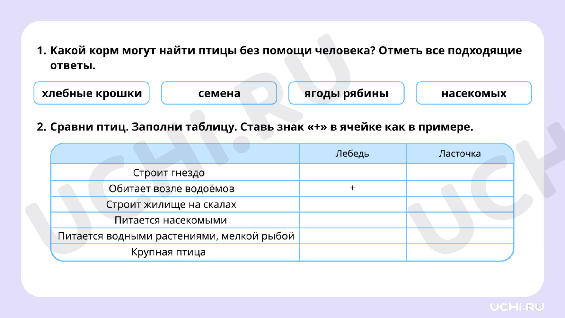 Ответы к рабочим листам по теме «Где обитают птицы, чем они питаются. Птицы:  сравнение места обитания, способа питания»: Где обитают птицы, чем они  питаются. Птицы: сравнение места обитания, способа питания | Учи.ру