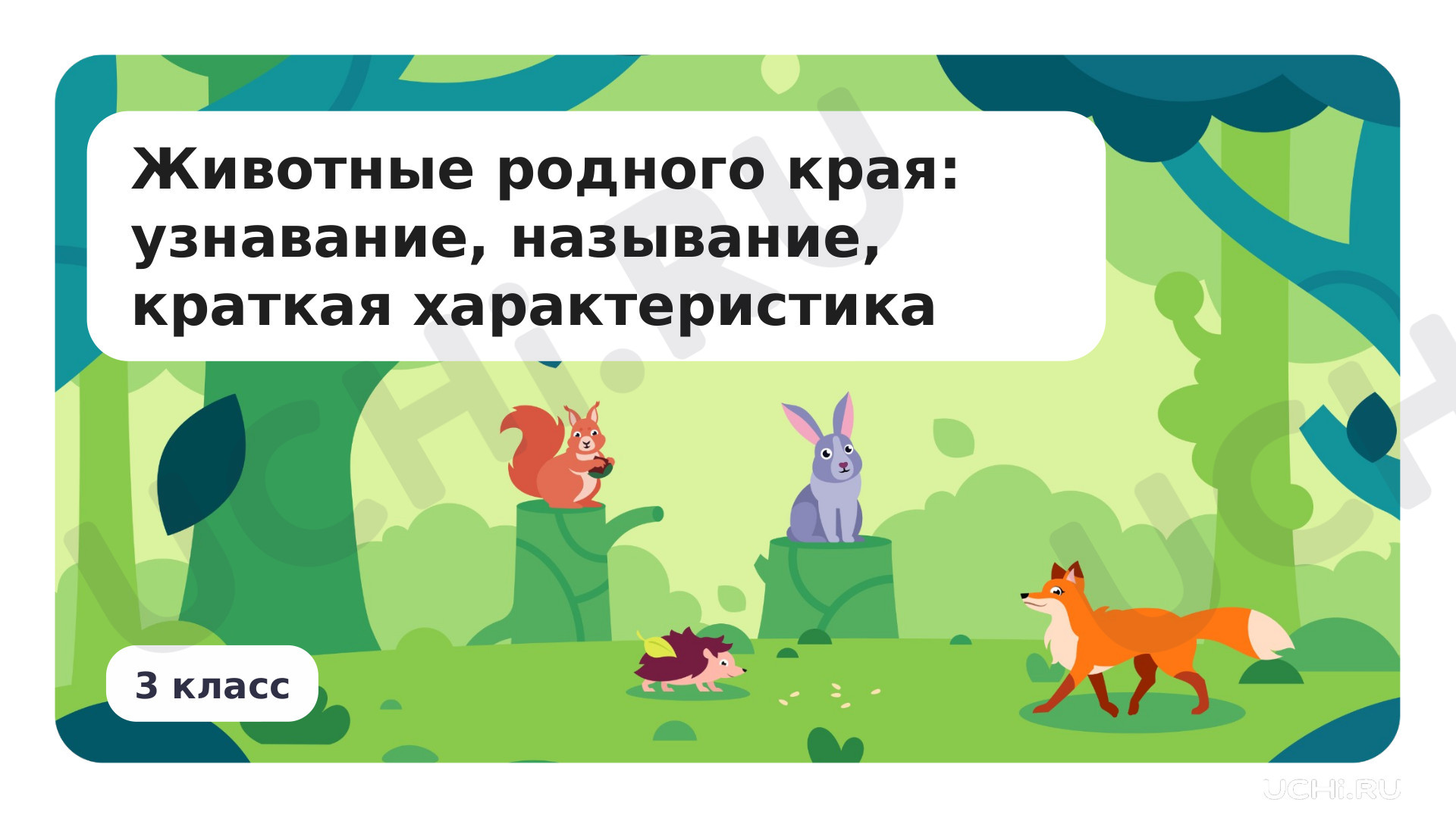 Предпросмотр материала Животные родного края: узнавание, называние, краткая характеристика