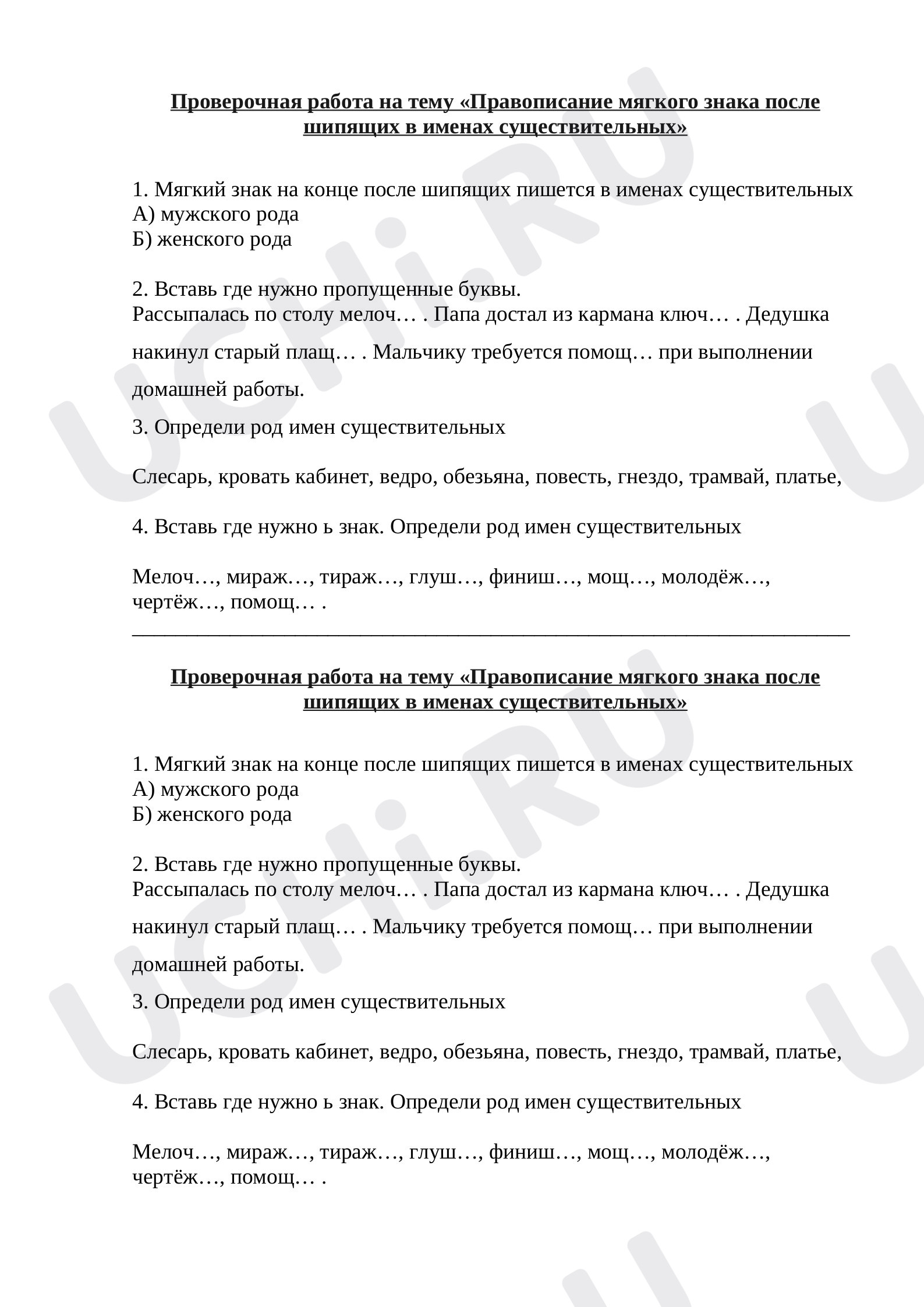Предпросмотр материала Проверочная работа "Правописание мягкого знака после шипящих в именах существительных"
