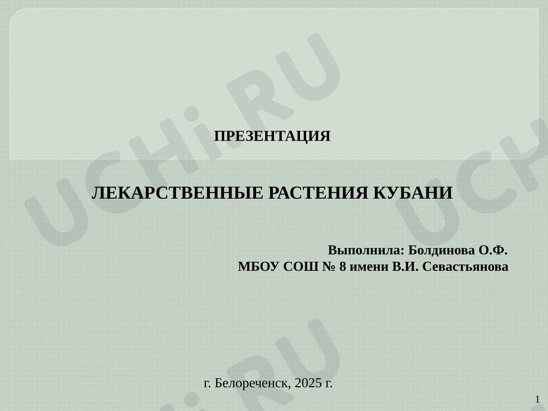 Предпросмотр материала Презентация к уроку окружающего мира. Лекарственные растения Кубани