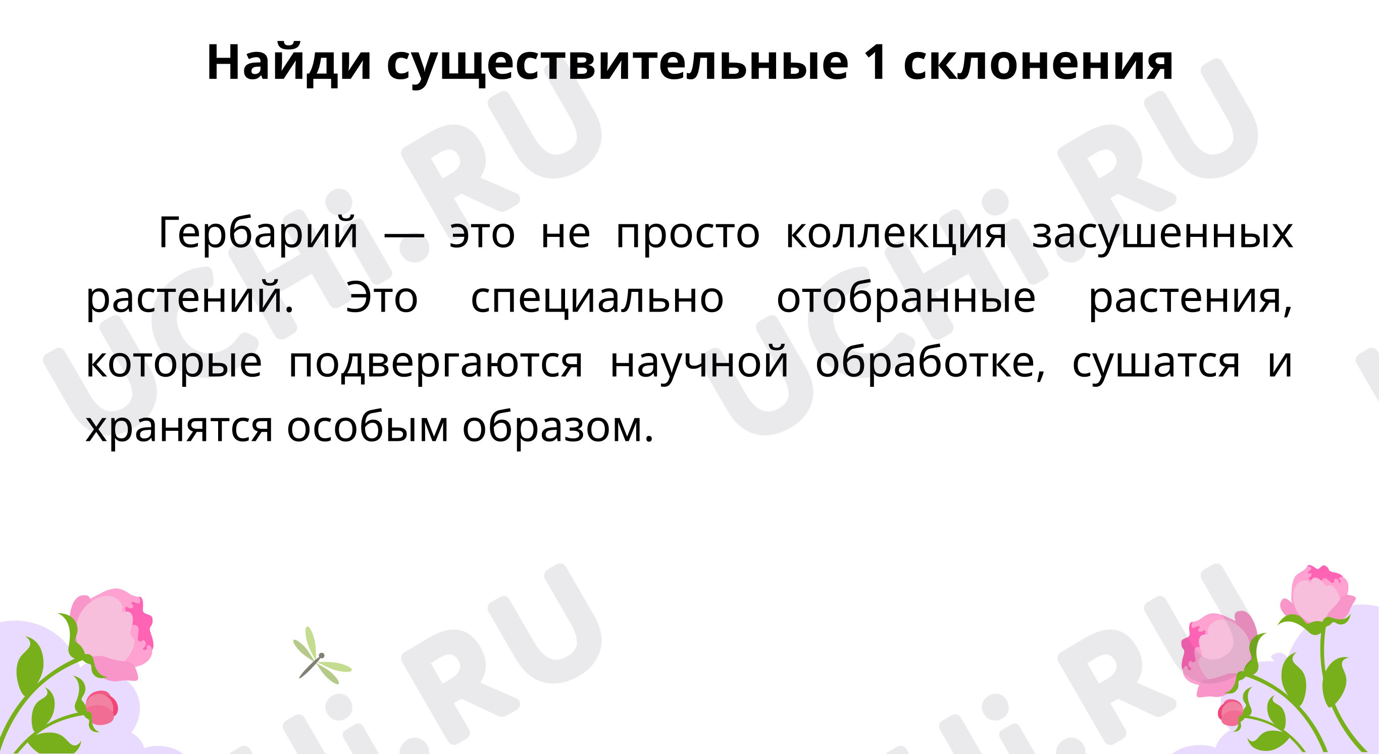 Предпросмотр материала Учимся находить существительные 1 склонения, писать грамотно окончания 1 склонения
