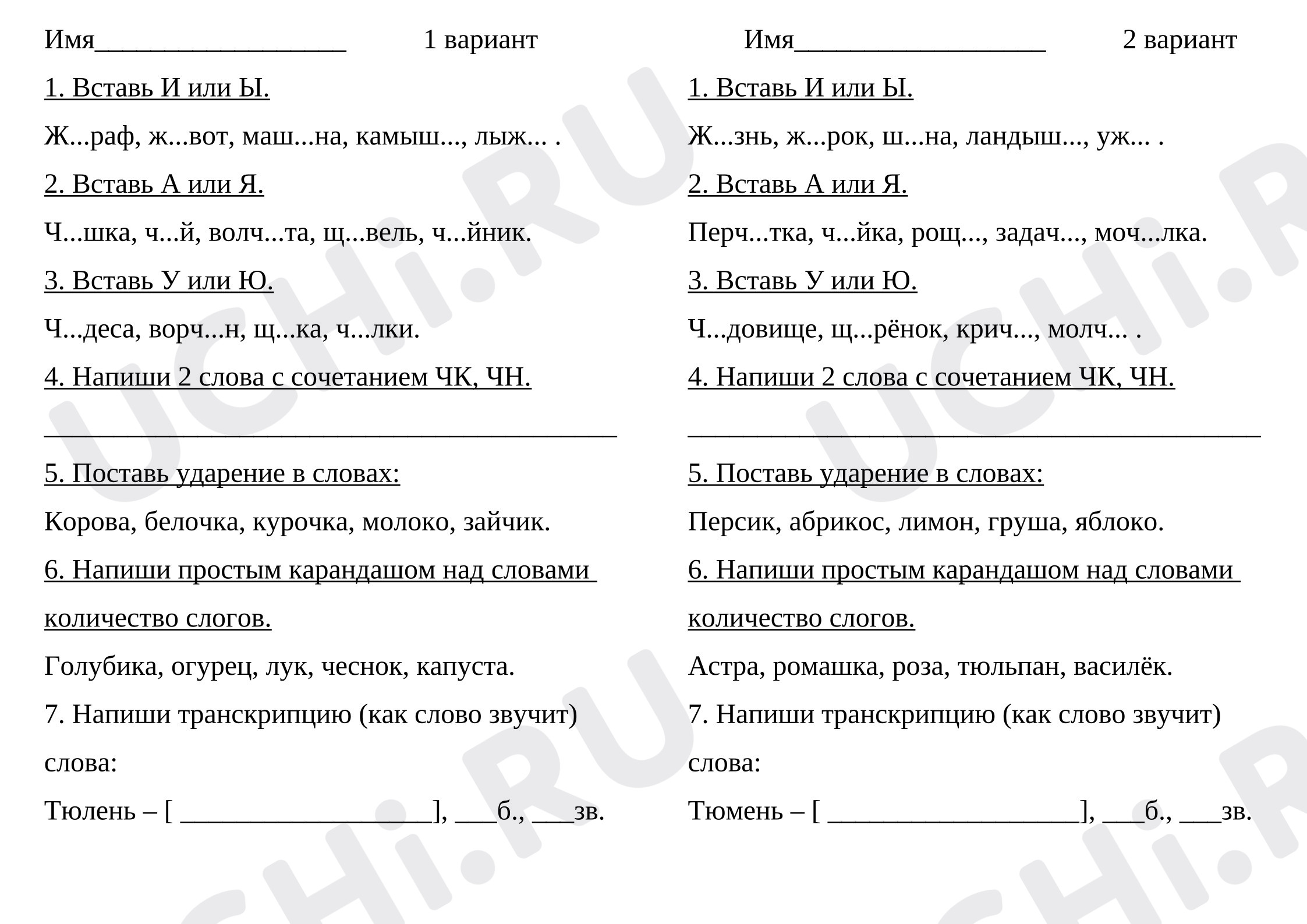 Предпросмотр материала Самостоятельная работа к уроку русского языка. Повторение и закрепление.