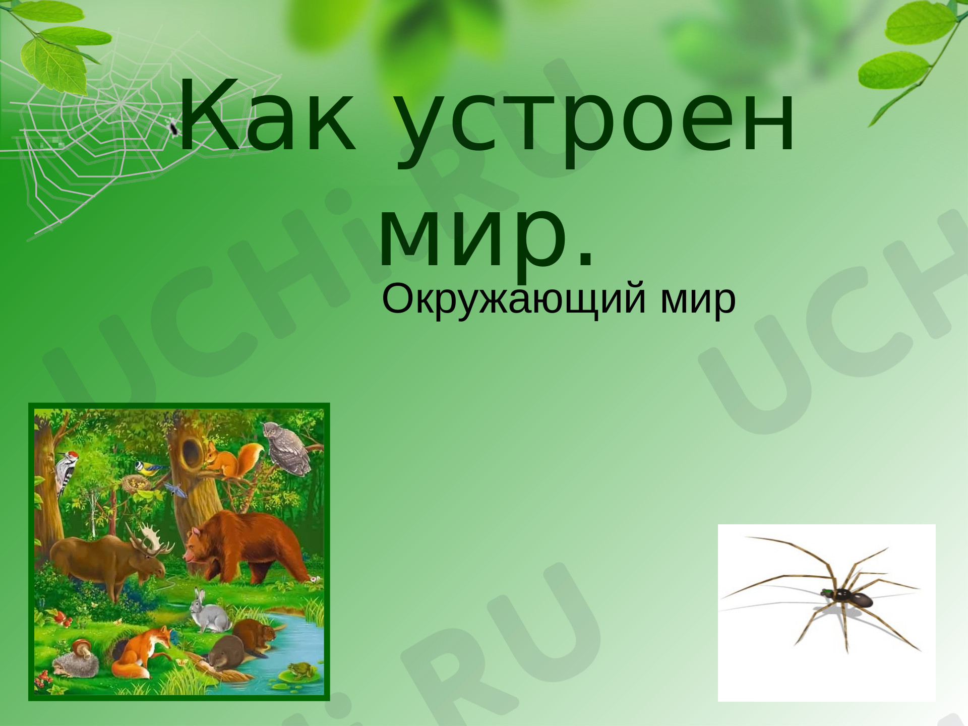 Предпросмотр материала Как устроен мир. Живая природа