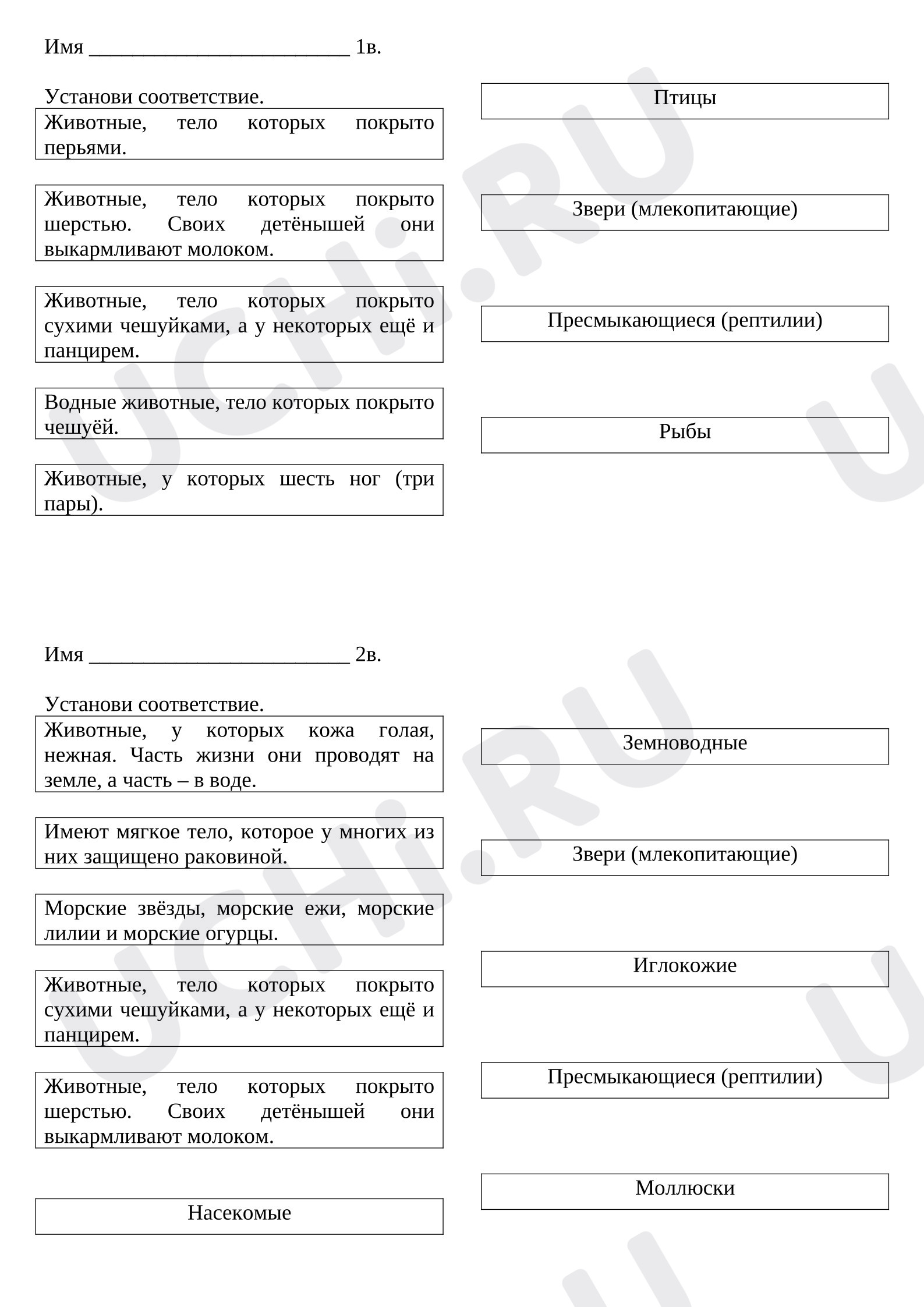 Предпросмотр материала Проверочная работа к уроку окружающего мира. Животный мир.