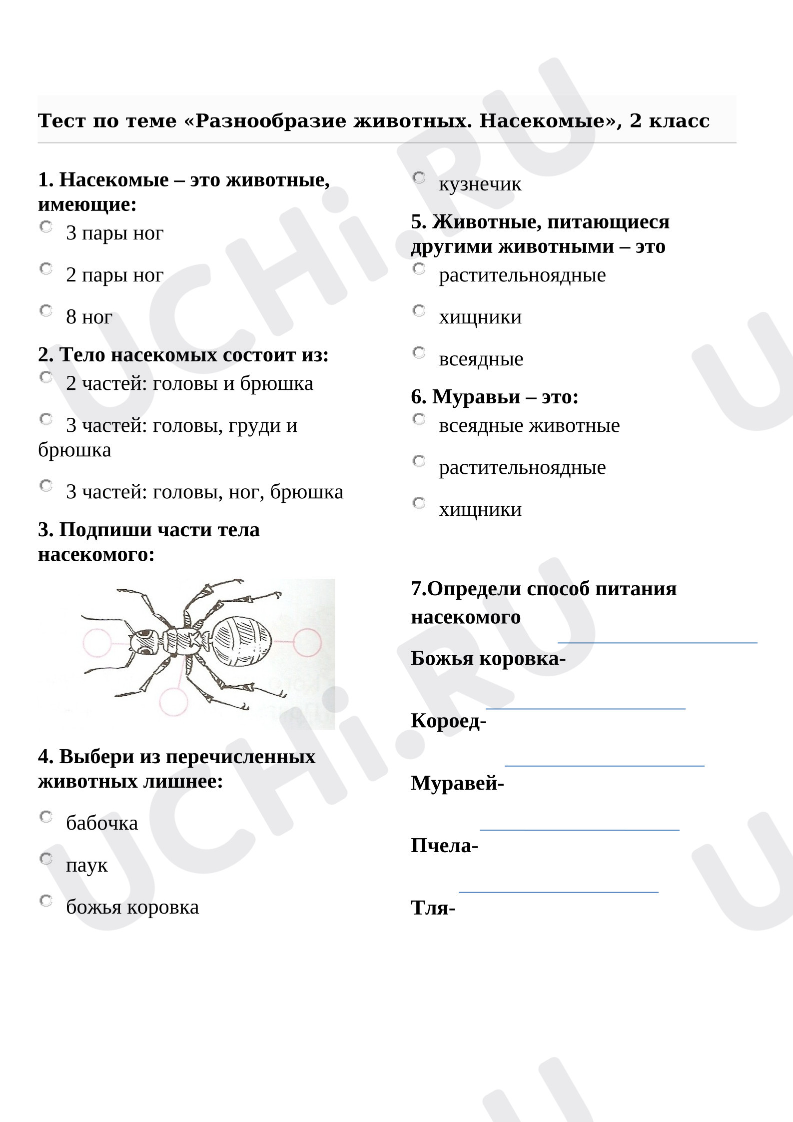 Предпросмотр материала Тест к уроку окружающего мира по теме «Насекомые»