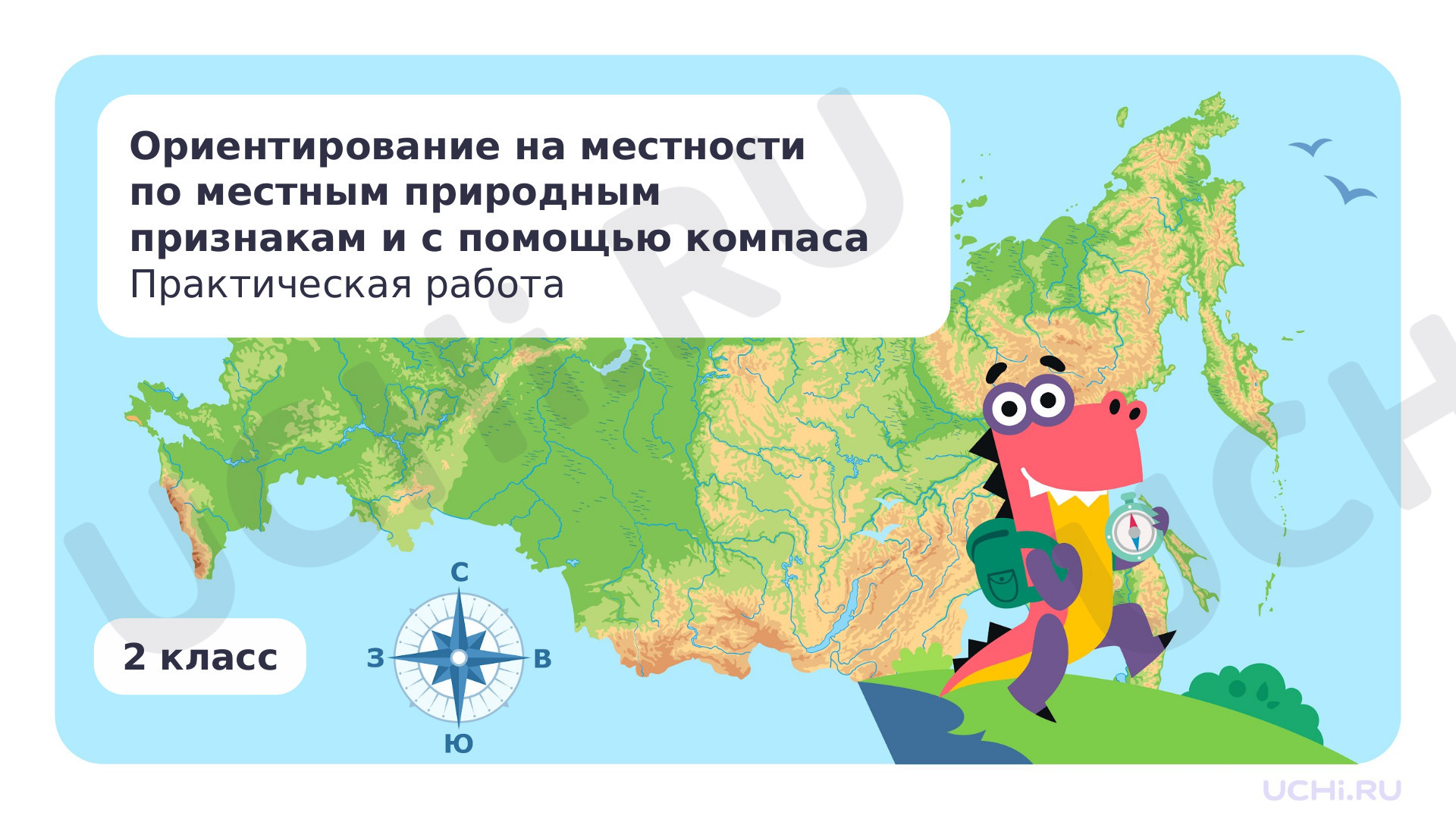 Предпросмотр материала Ориентирование на местности