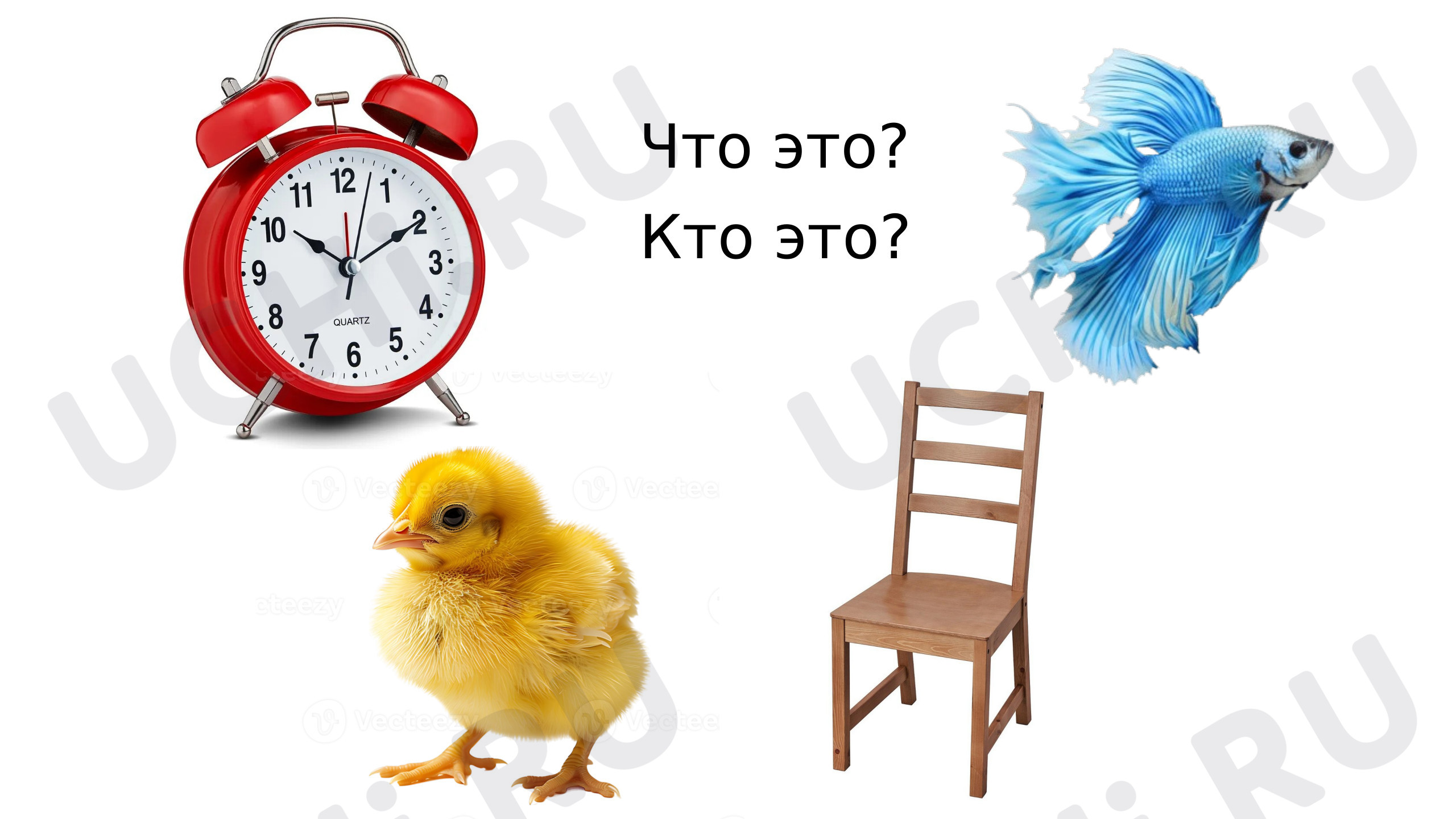 Предпросмотр материала Обучающая презентация по закреплению темы «Слово и предложение»