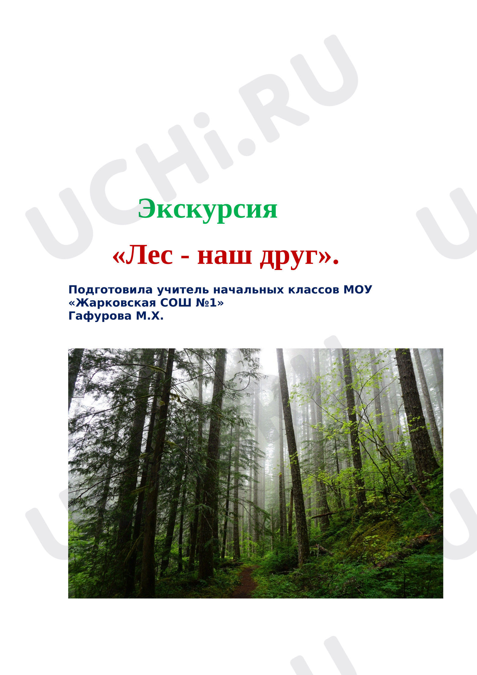Предпросмотр материала План занятия. Классный час. Экскурсия «Лес - наш друг».
