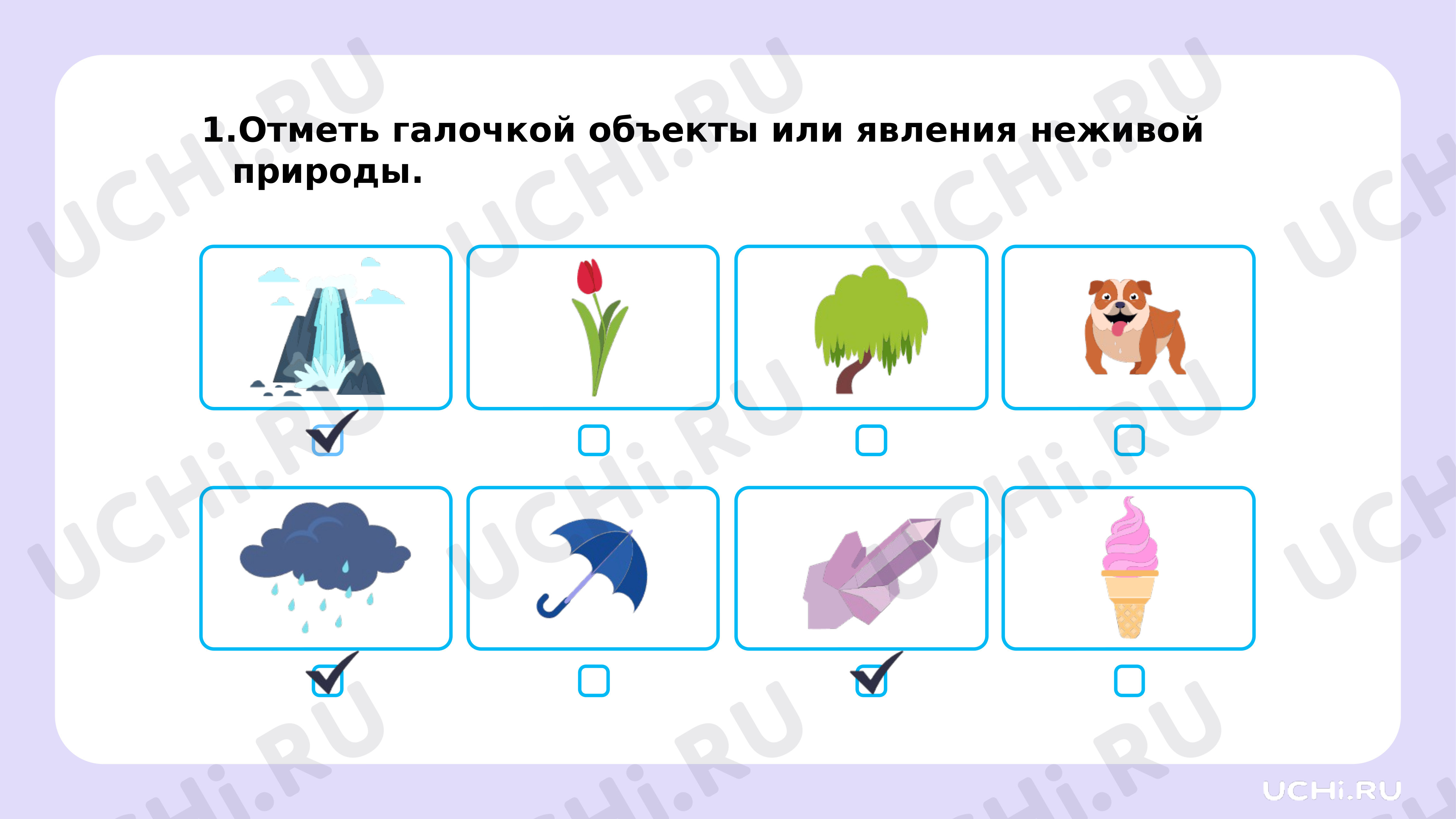 Ответы к рабочим листам по теме «Явления и объекты неживой природы»: Явления  и объекты неживой природы | Учи.ру