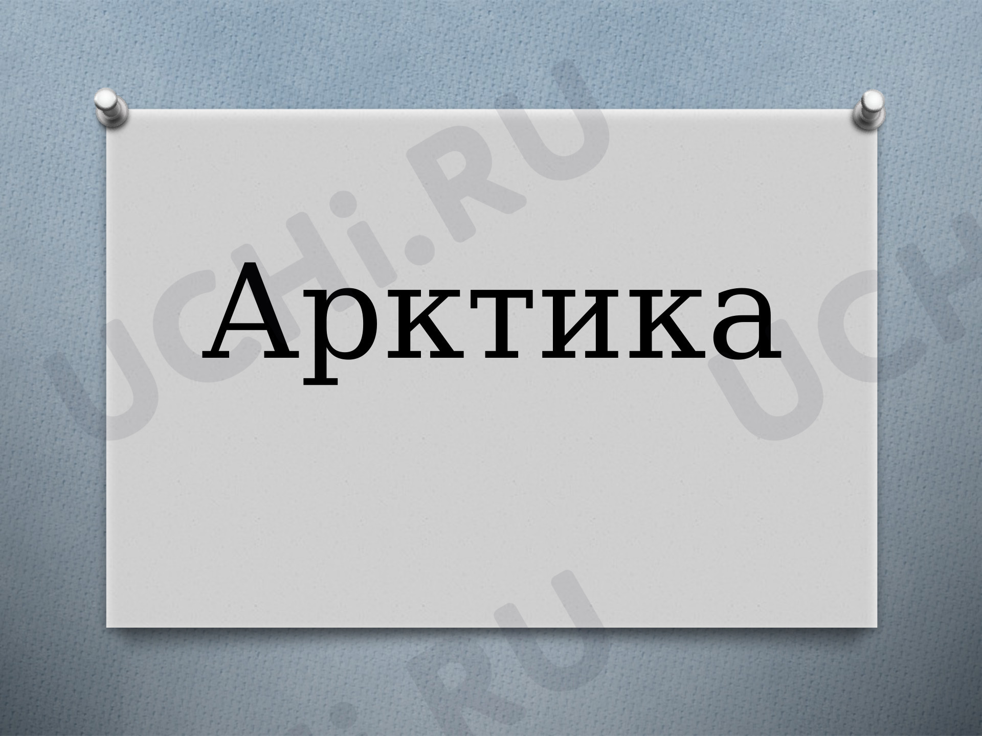 Предпросмотр материала Презентация по окружающему миру «Арктика»